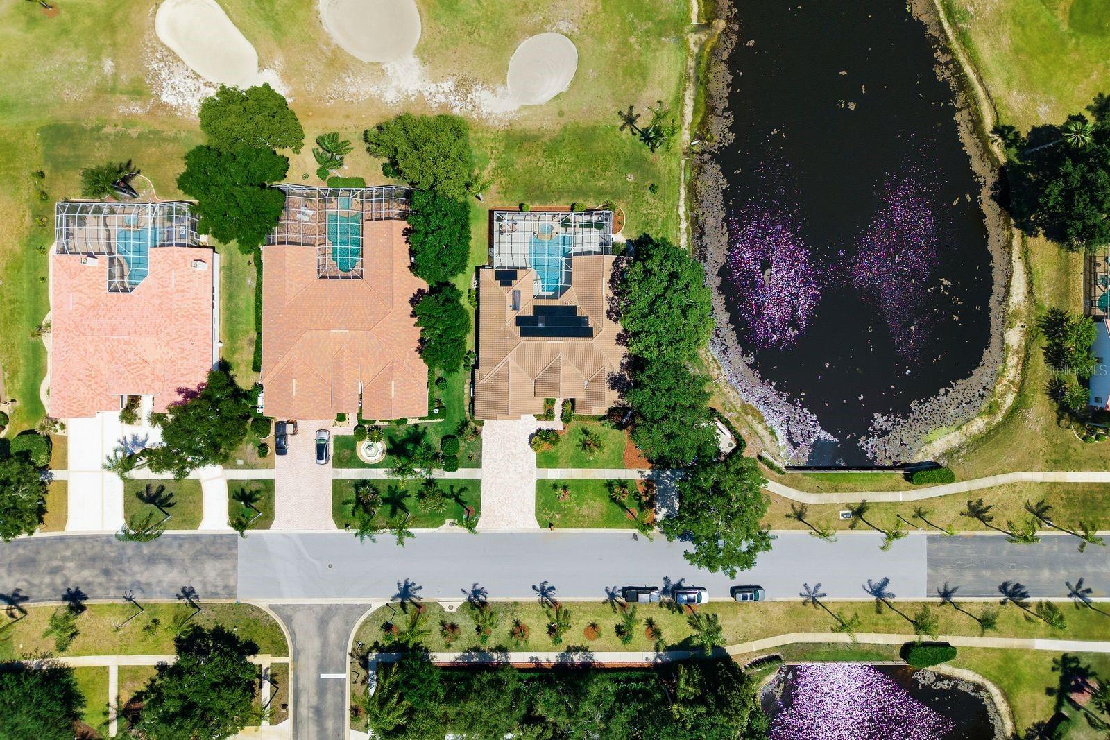 3343 CRESCENT OAKS BLVD, TARPON SPRINGS, FL, 34688