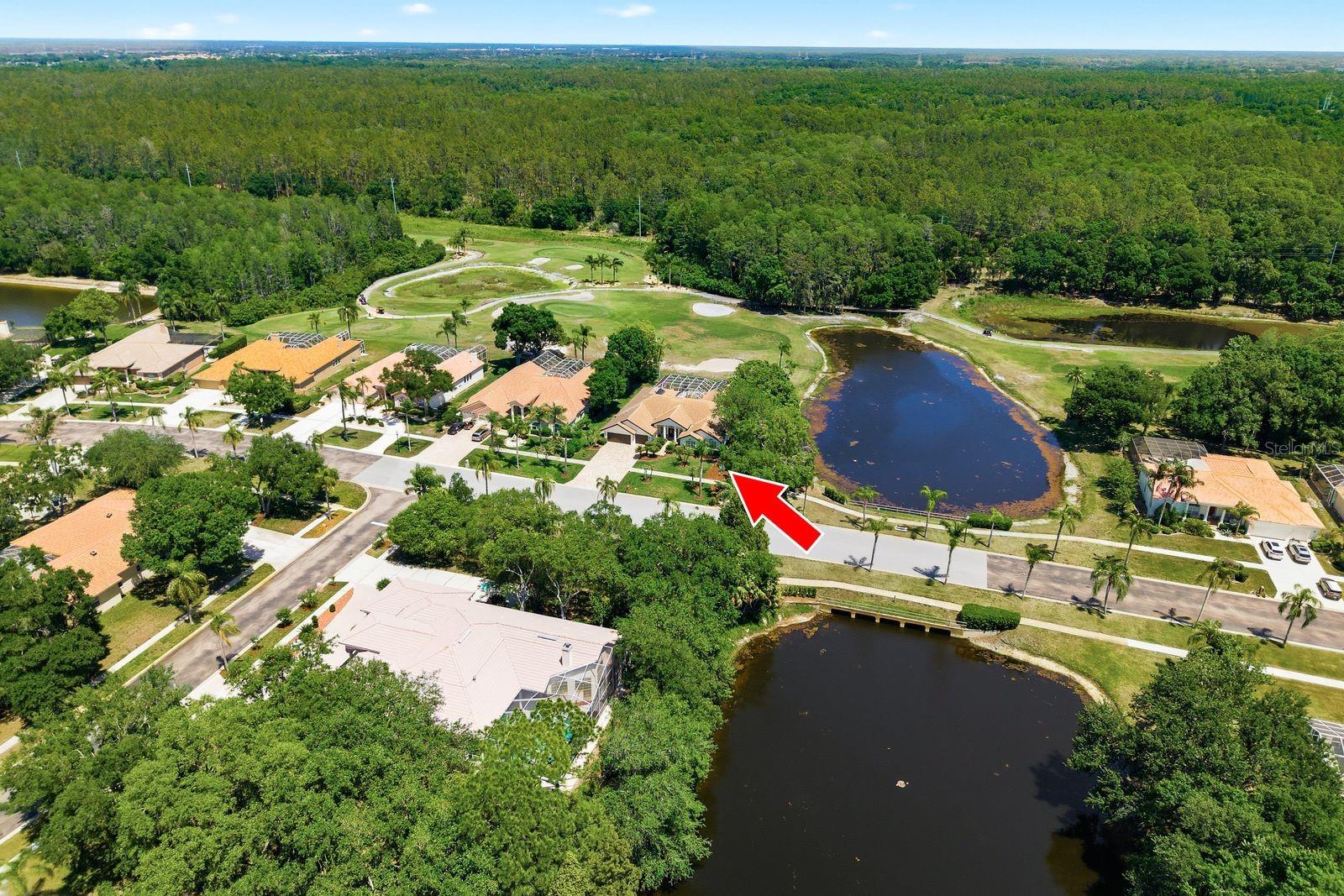 3343 CRESCENT OAKS BLVD, TARPON SPRINGS, FL, 34688