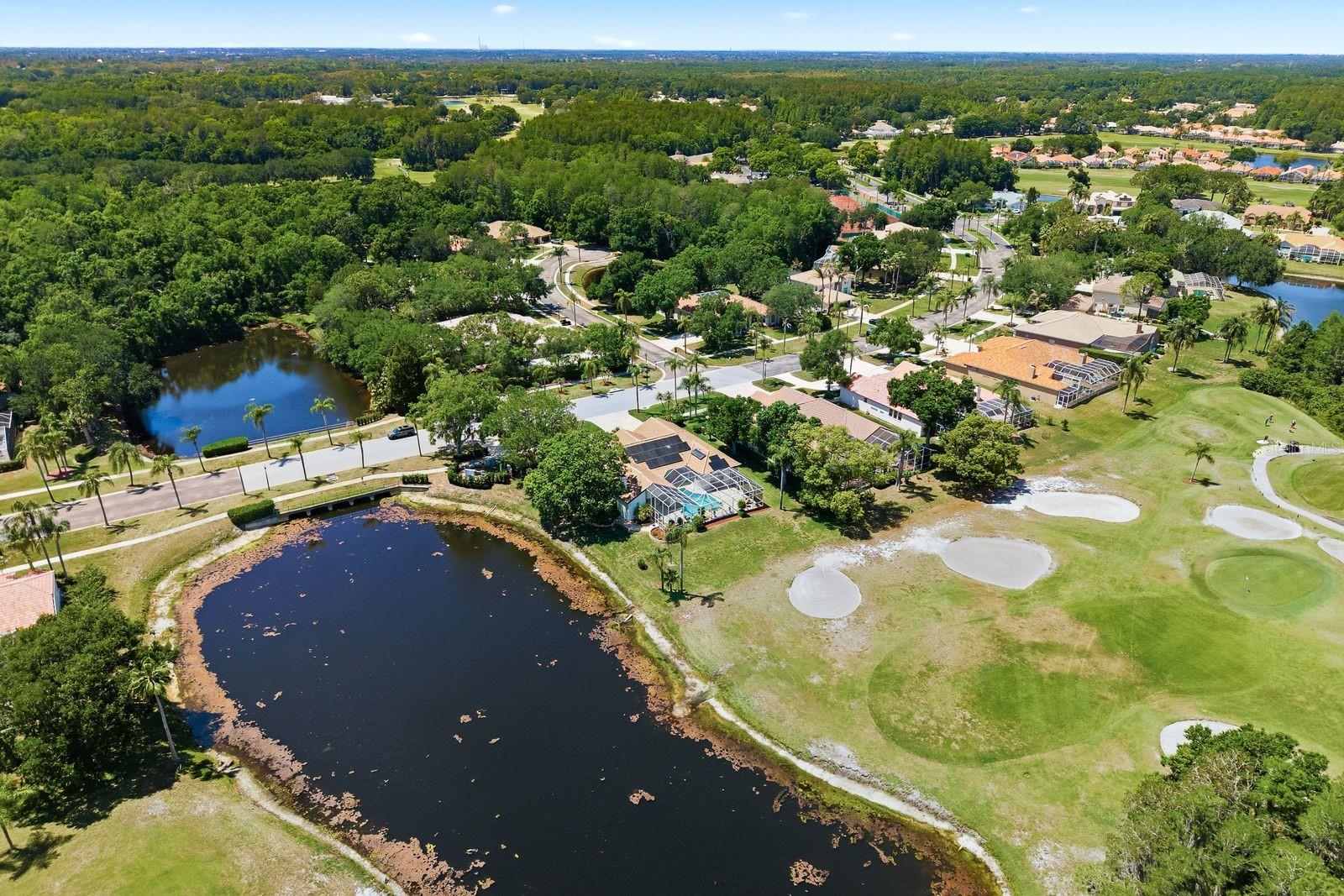 3343 CRESCENT OAKS BLVD, TARPON SPRINGS, FL, 34688