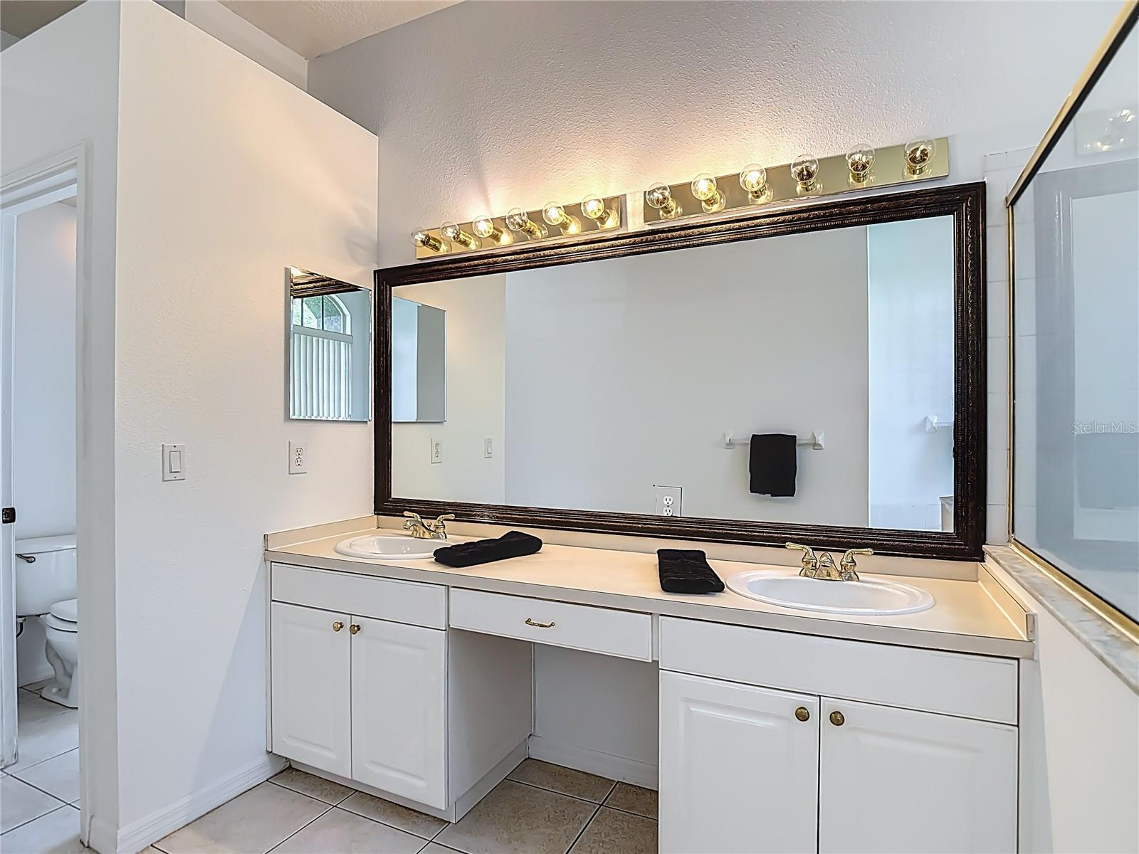 12919 FRAMINGHAM CT, TAMPA, FL, 33626