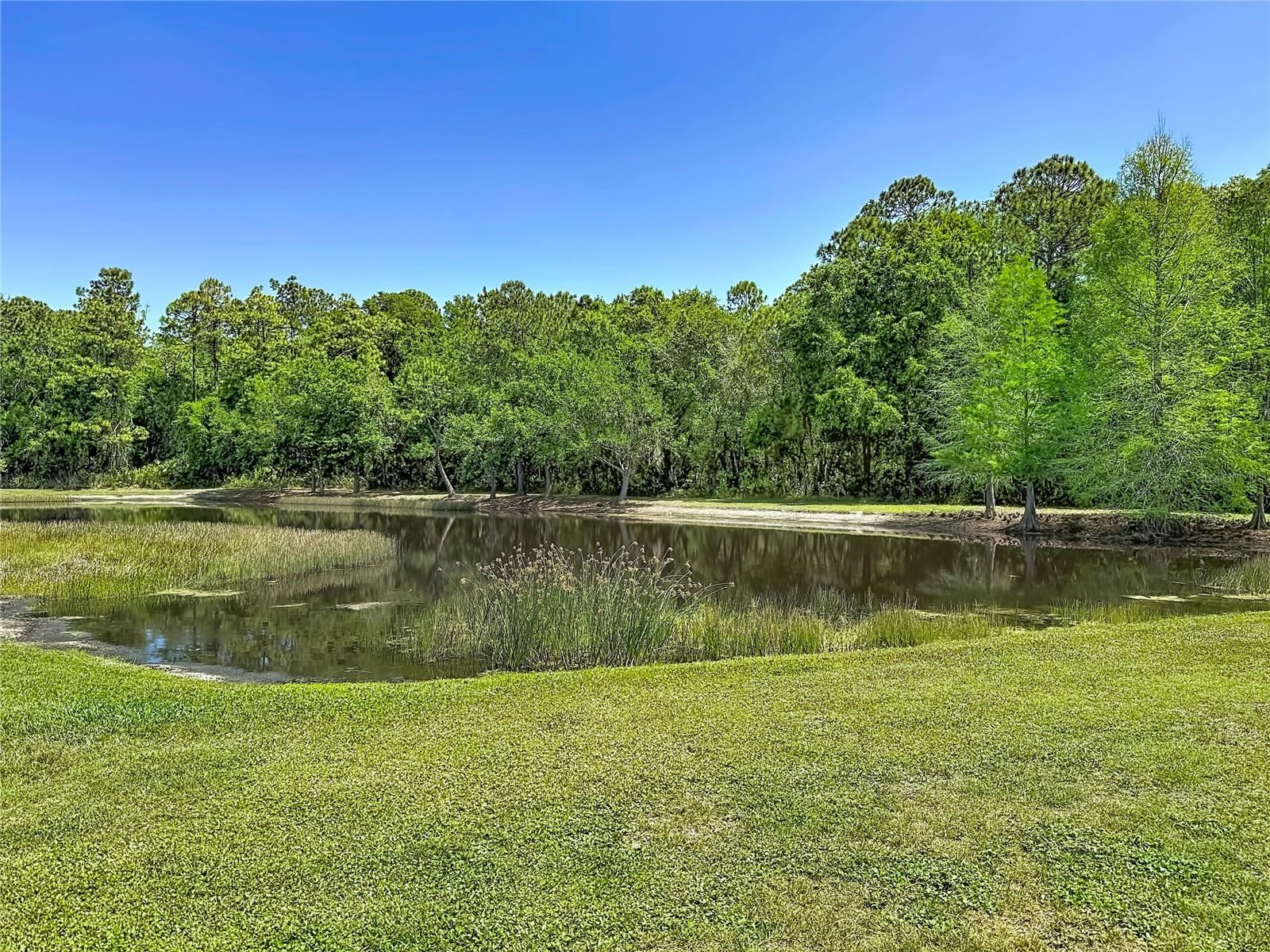 12919 FRAMINGHAM CT, TAMPA, FL, 33626