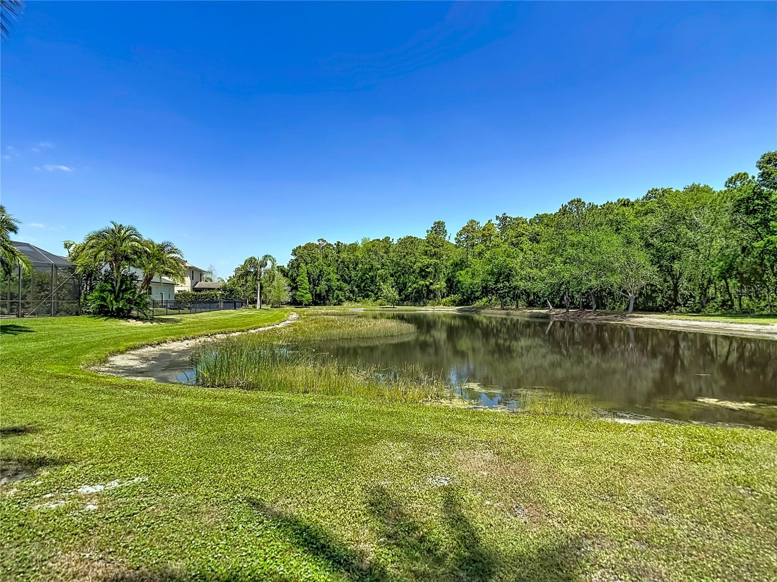 12919 FRAMINGHAM CT, TAMPA, FL, 33626