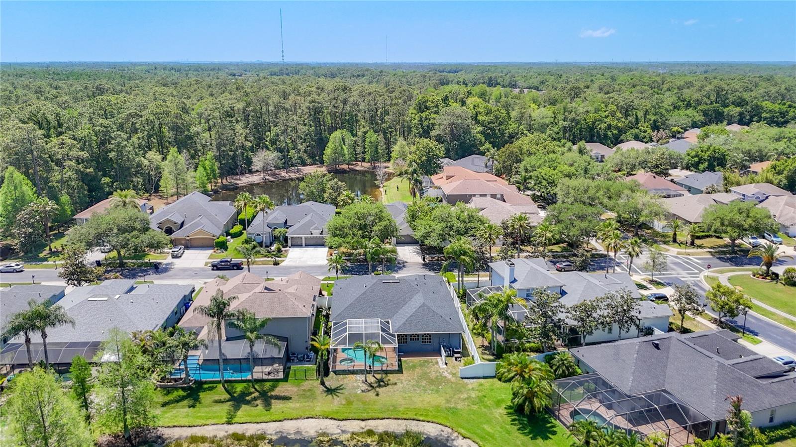 12919 FRAMINGHAM CT, TAMPA, FL, 33626