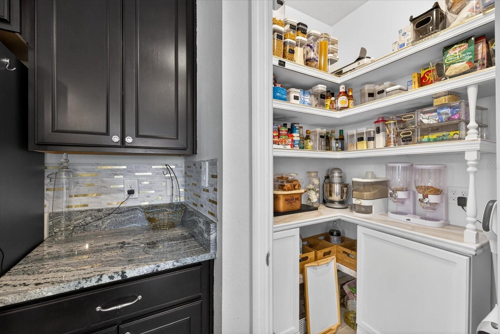 13504 GOLDEN LIME AVE, SPRING HILL, FL, 34609