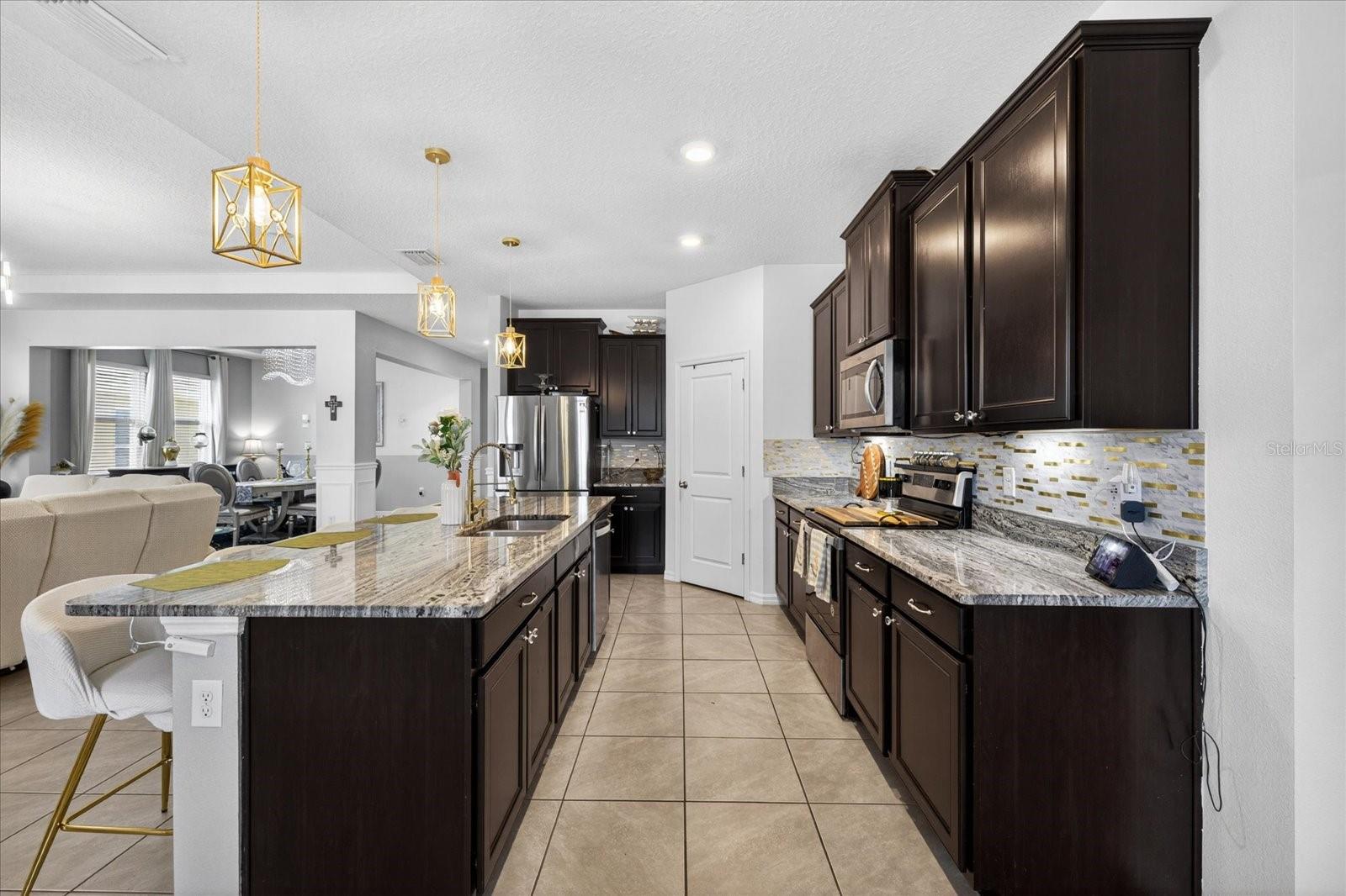 13504 GOLDEN LIME AVE, SPRING HILL, FL, 34609