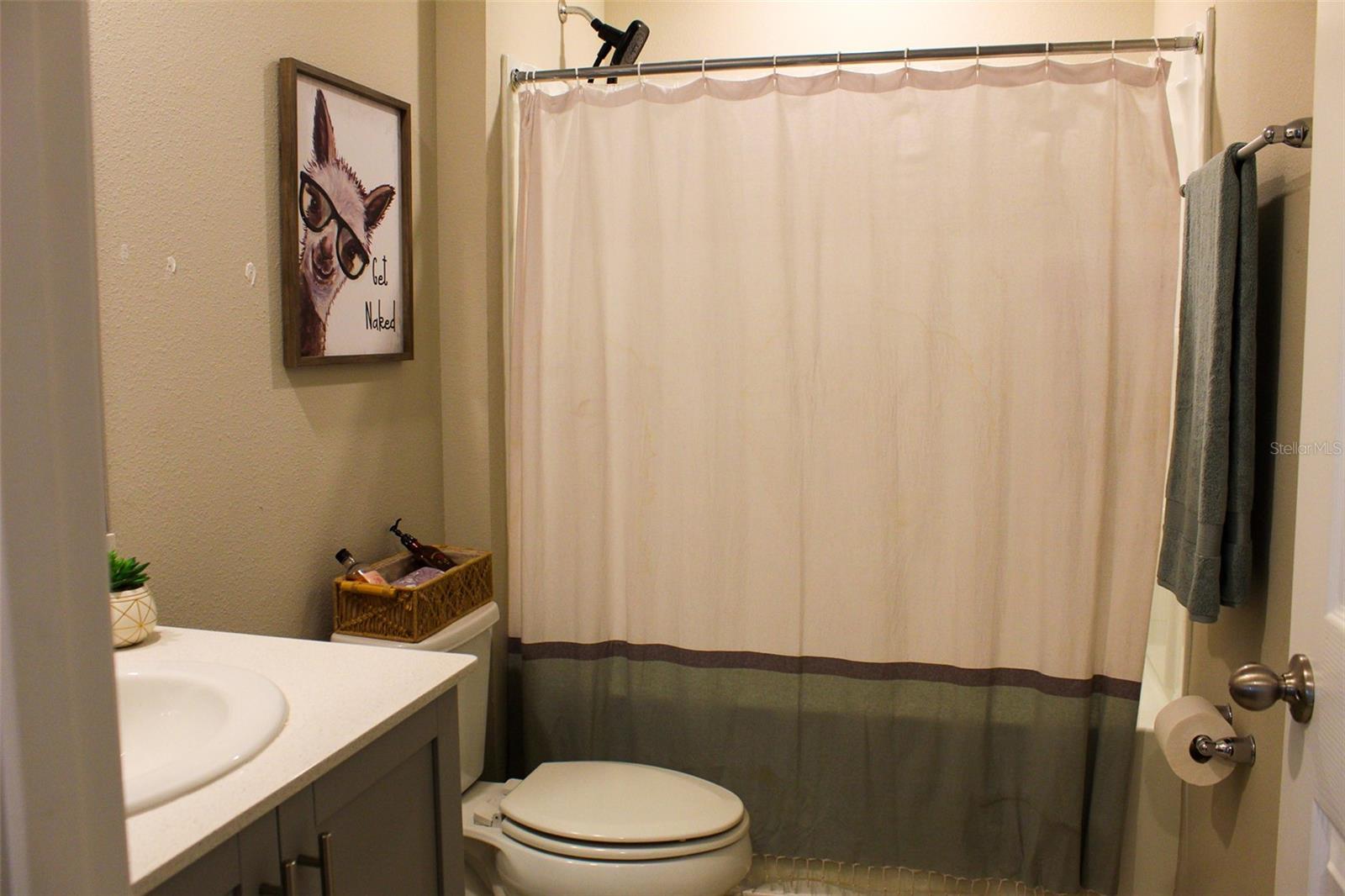 12920 WELLSPRING DR, LITHIA, FL, 33547