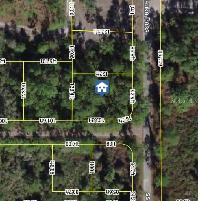 XXX MALAUKA PASS PASS, OCKLAWAHA, FL, 32179