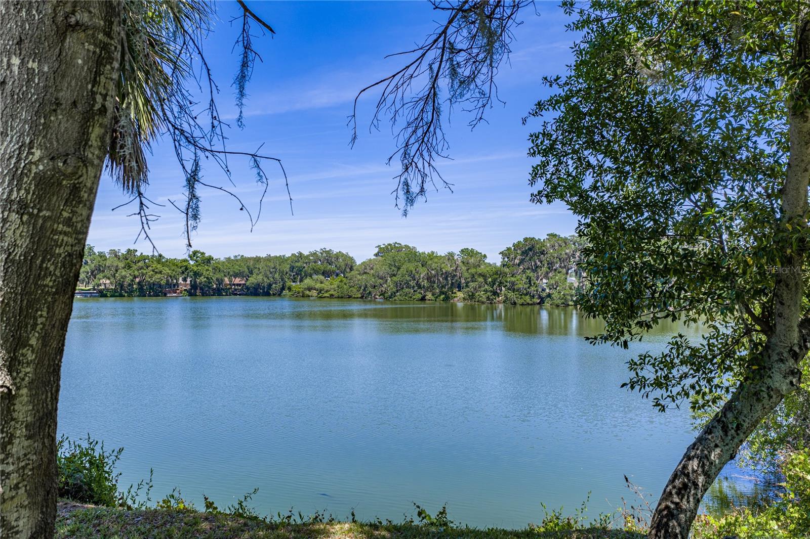 3167 BLACKWATER OAKS WAY, MULBERRY, FL, 33860