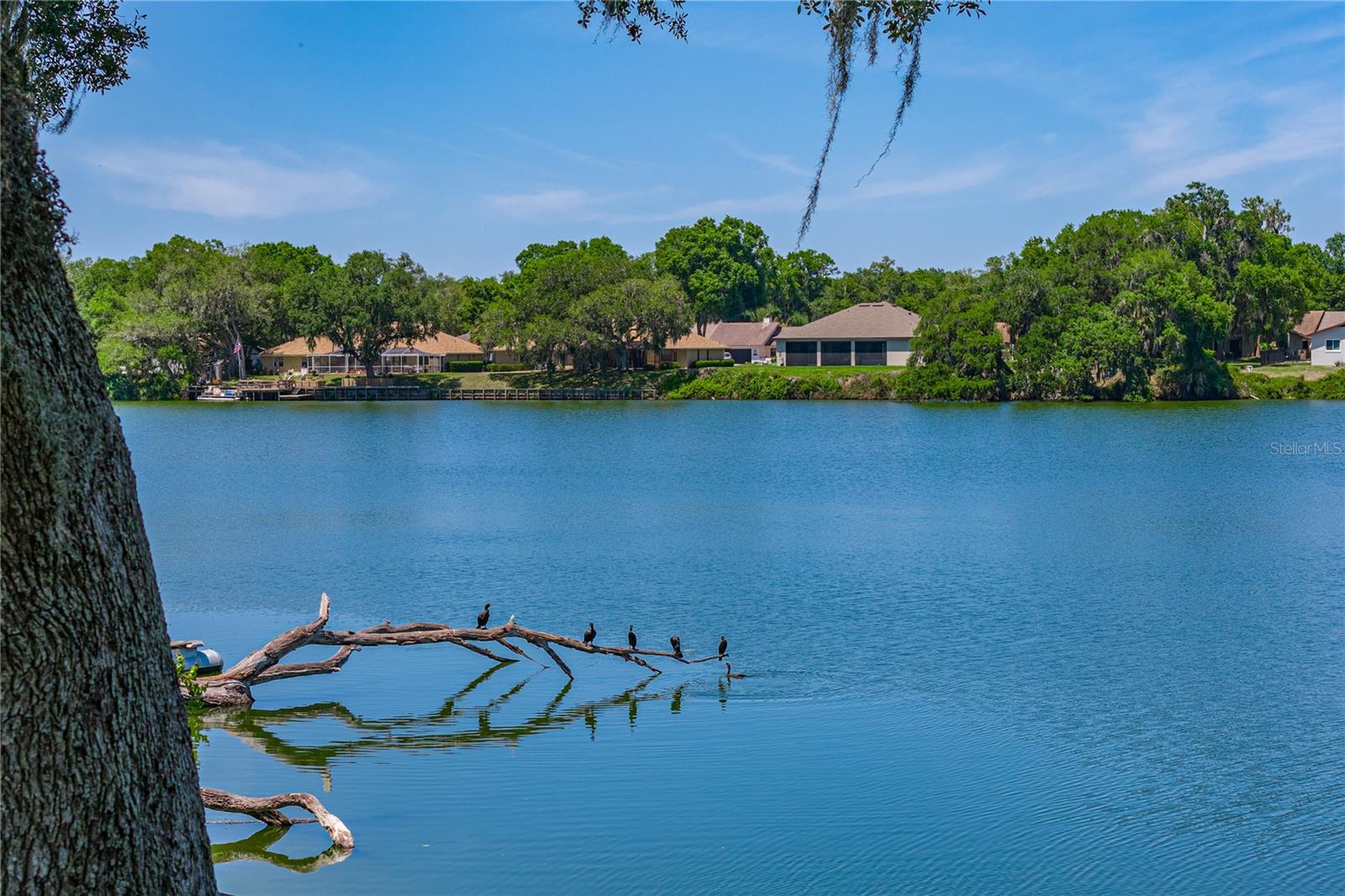 3167 BLACKWATER OAKS WAY, MULBERRY, FL, 33860