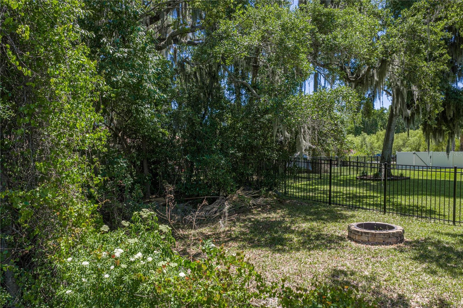 3167 BLACKWATER OAKS WAY, MULBERRY, FL, 33860