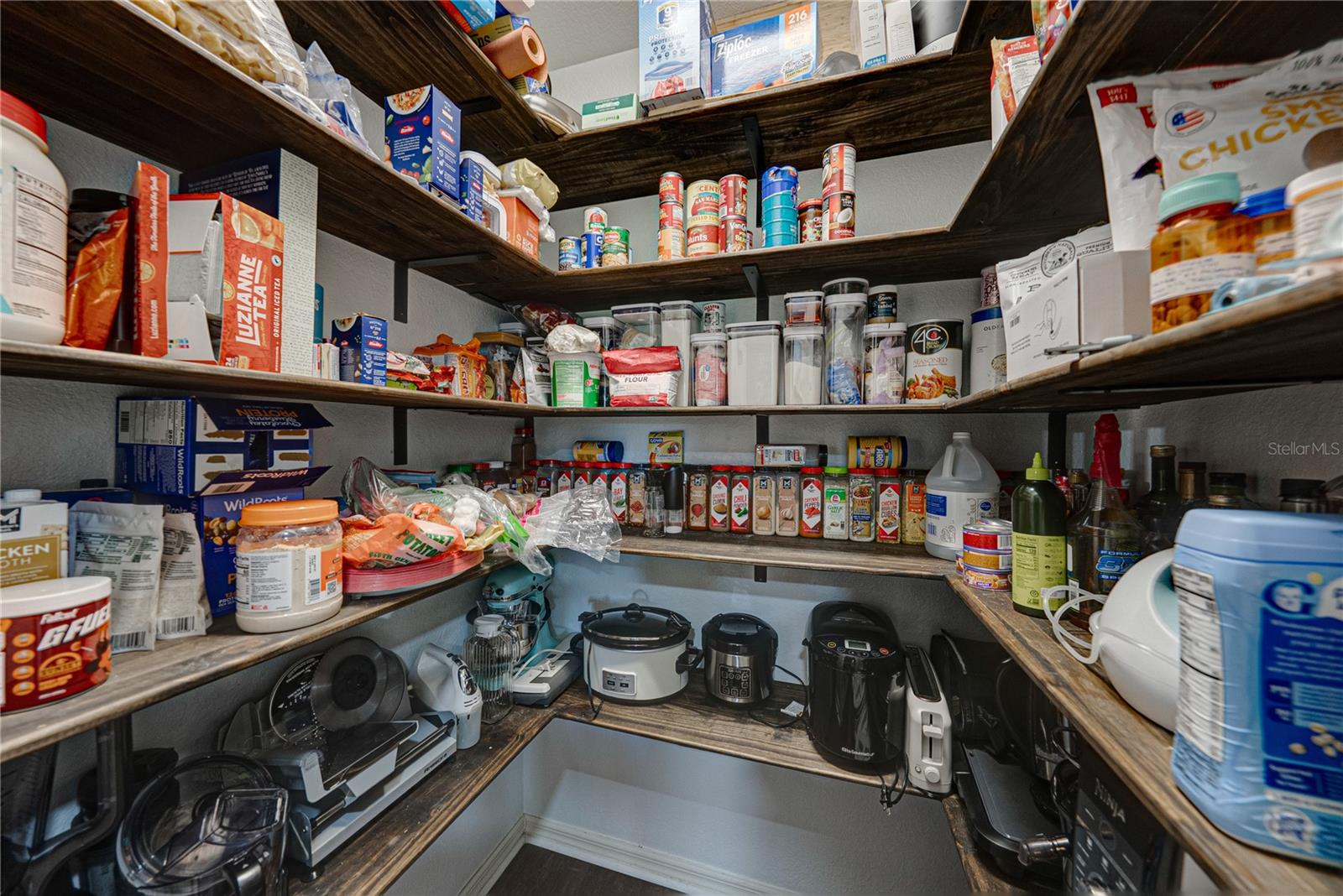 3167 BLACKWATER OAKS WAY, MULBERRY, FL, 33860