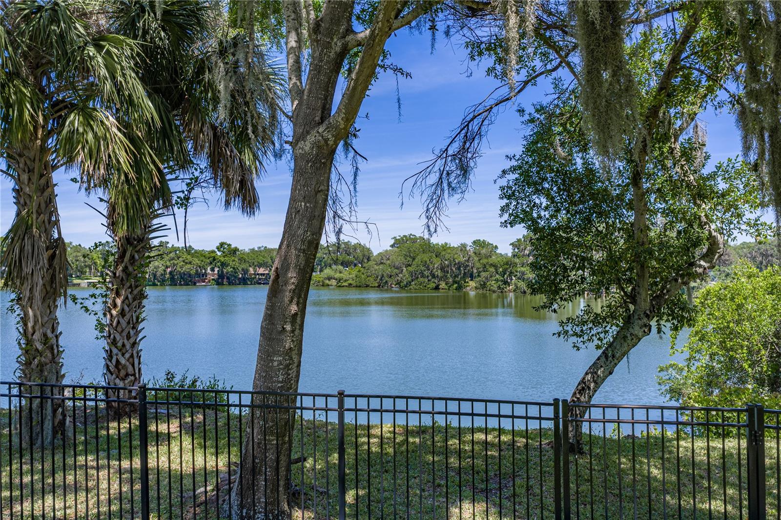 3167 BLACKWATER OAKS WAY, MULBERRY, FL, 33860