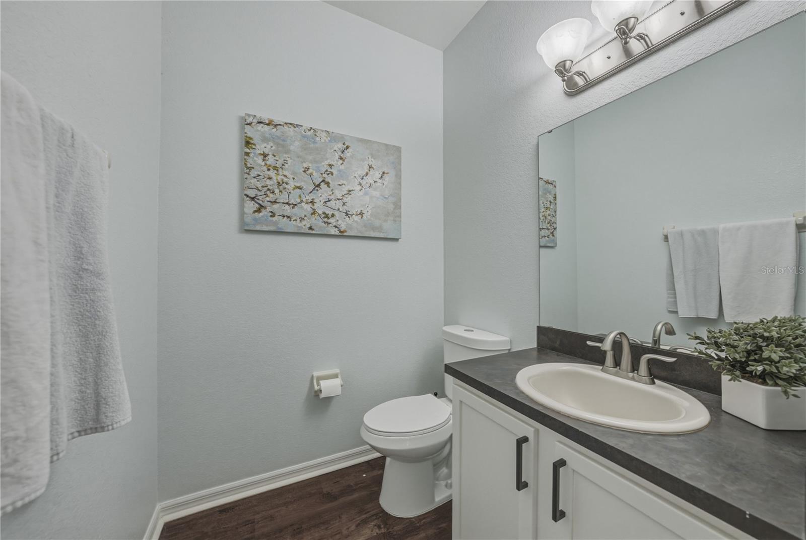 3167 BLACKWATER OAKS WAY, MULBERRY, FL, 33860