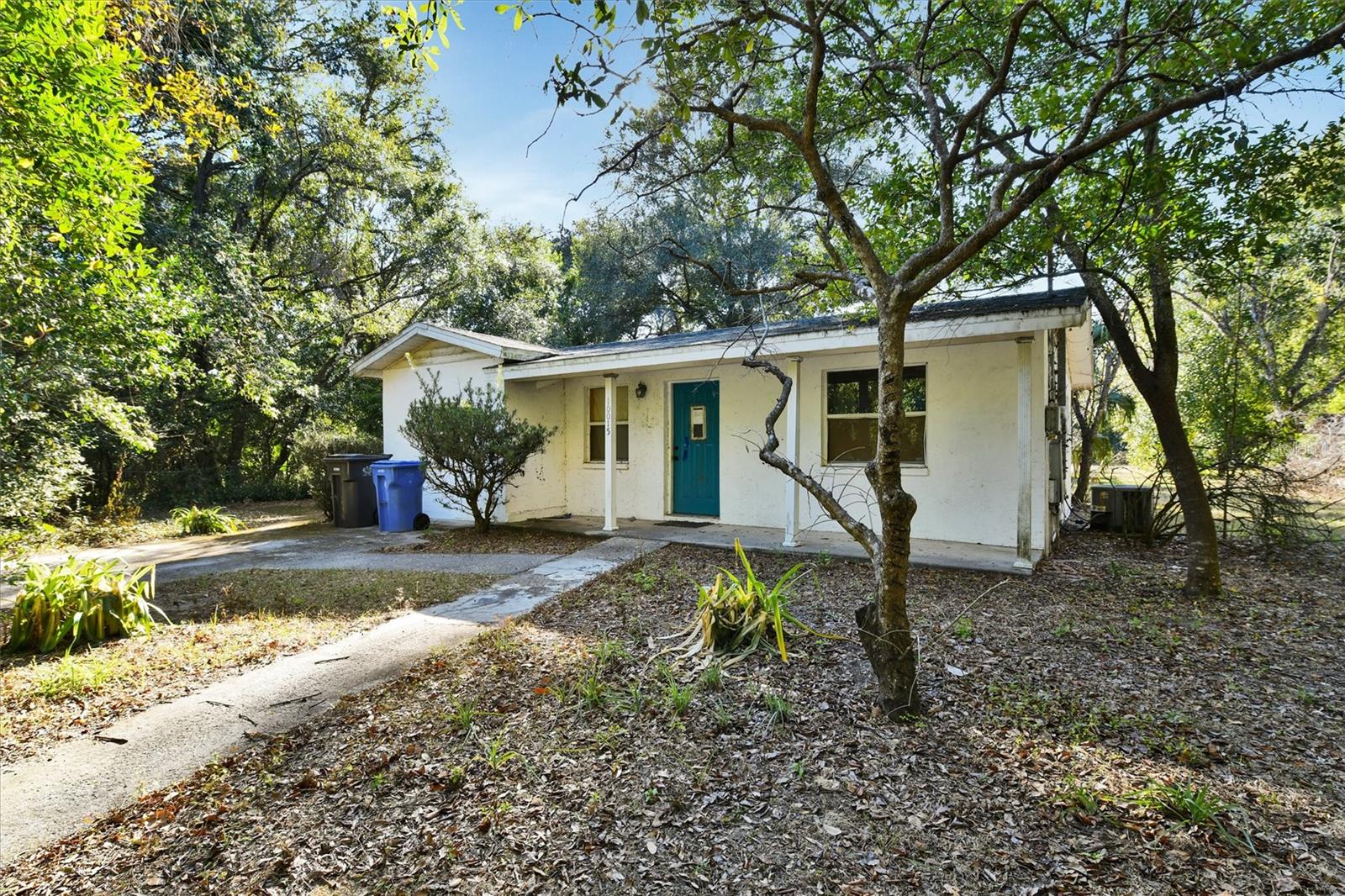 10015 OHIO AVE, THONOTOSASSA, FL, 33592