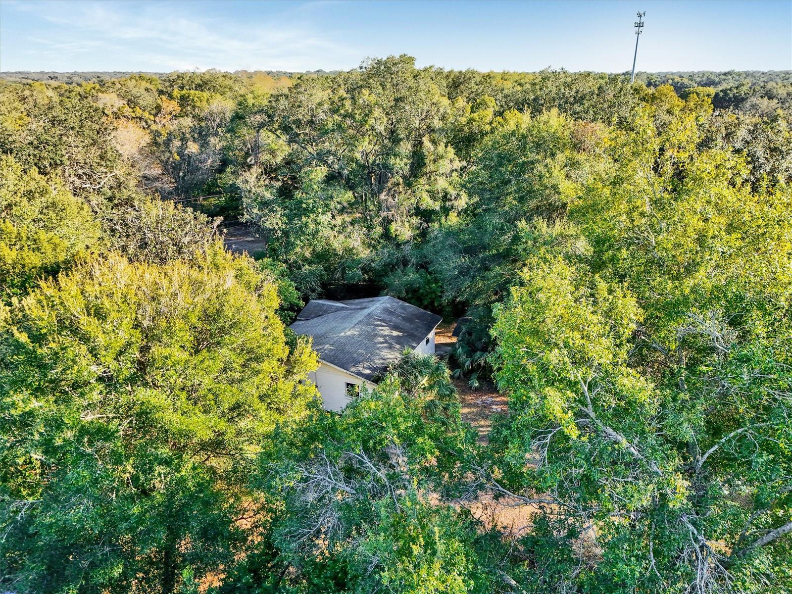 10015 OHIO AVE, THONOTOSASSA, FL, 33592