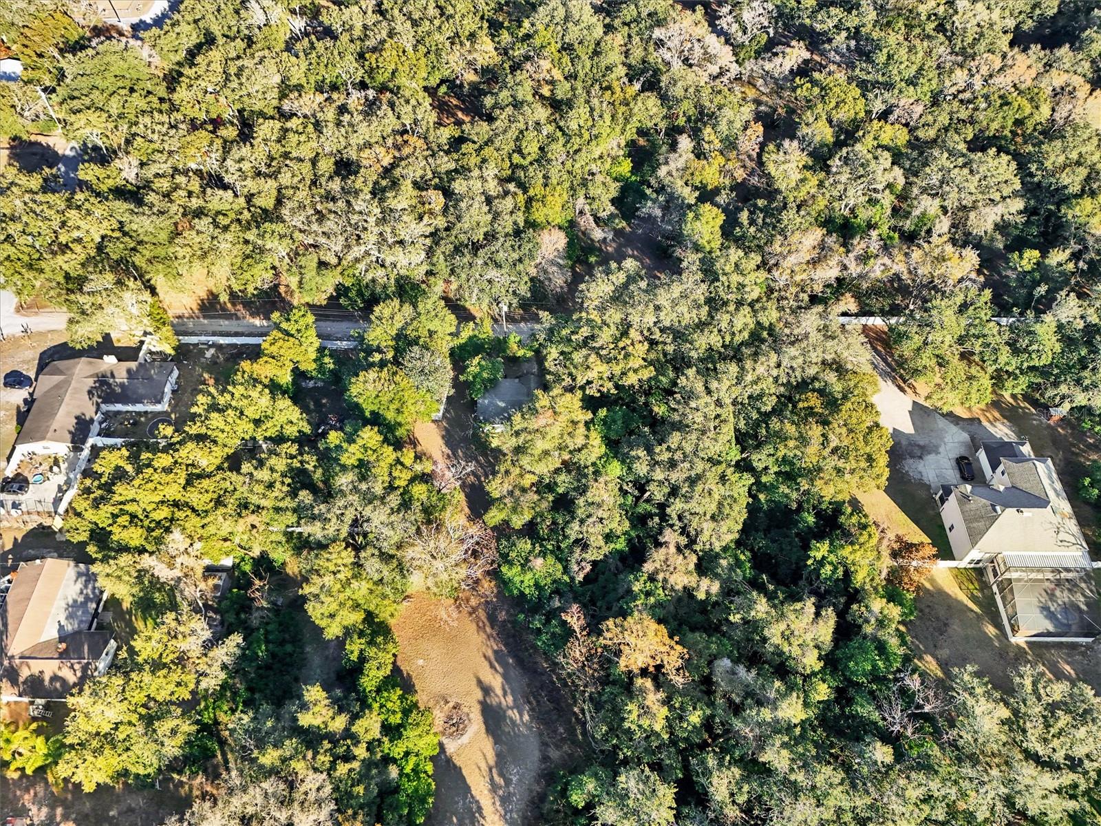 10015 OHIO AVE, THONOTOSASSA, FL, 33592