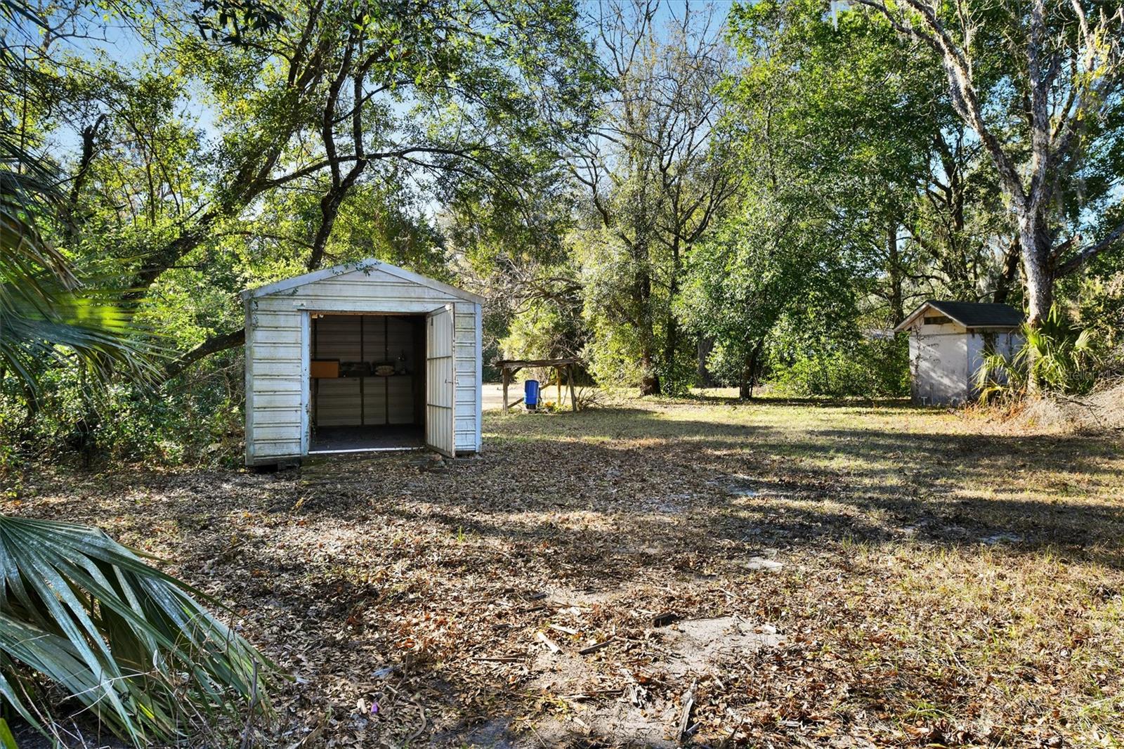 10015 OHIO AVE, THONOTOSASSA, FL, 33592