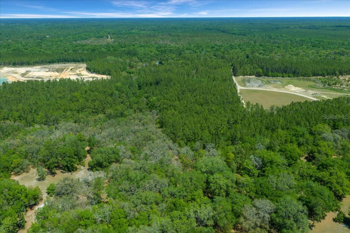 7808 NE 75TH ST, GAINESVILLE, FL, 32609