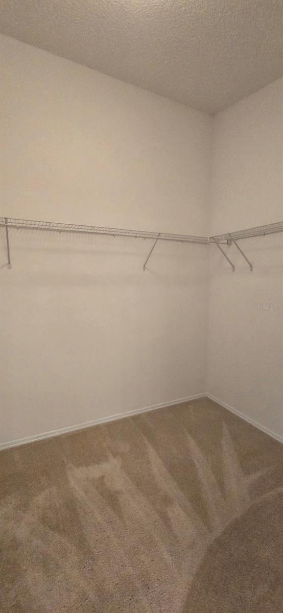 1009 RIDGEVILLE RD, THE VILLAGES, FL, 32162