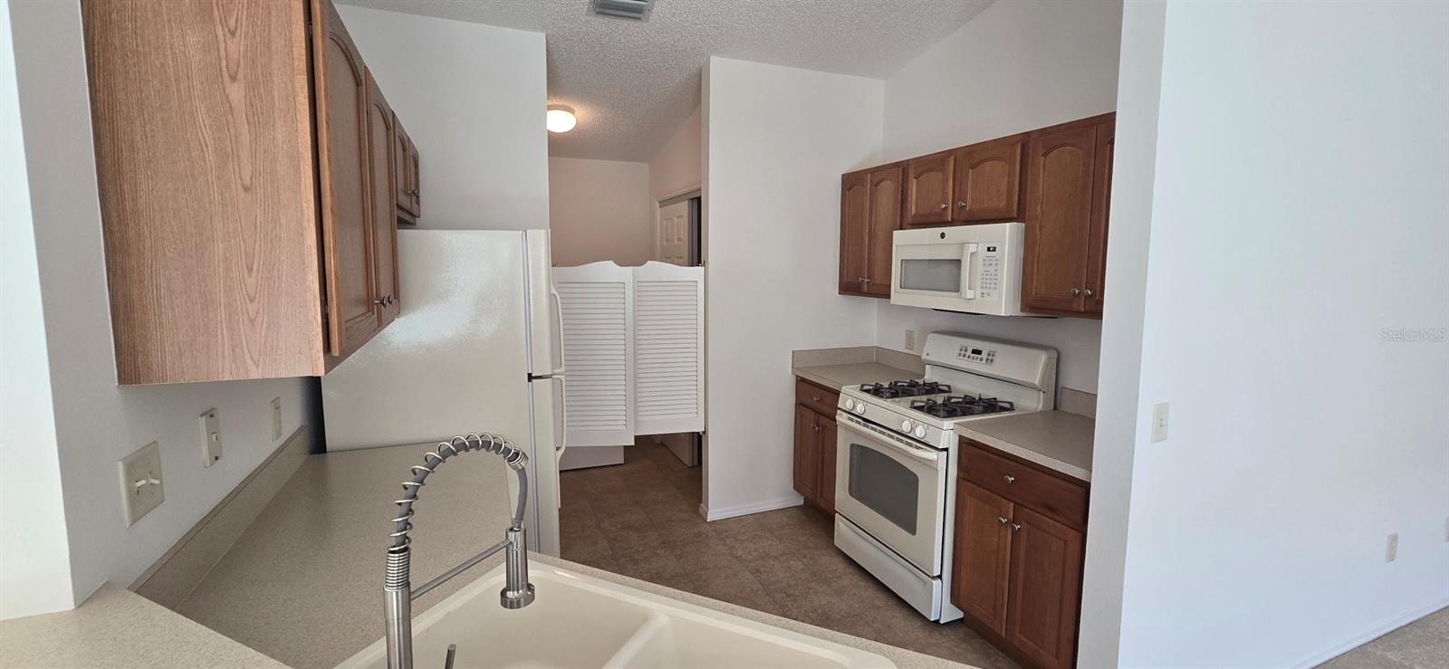 1009 RIDGEVILLE RD, THE VILLAGES, FL, 32162