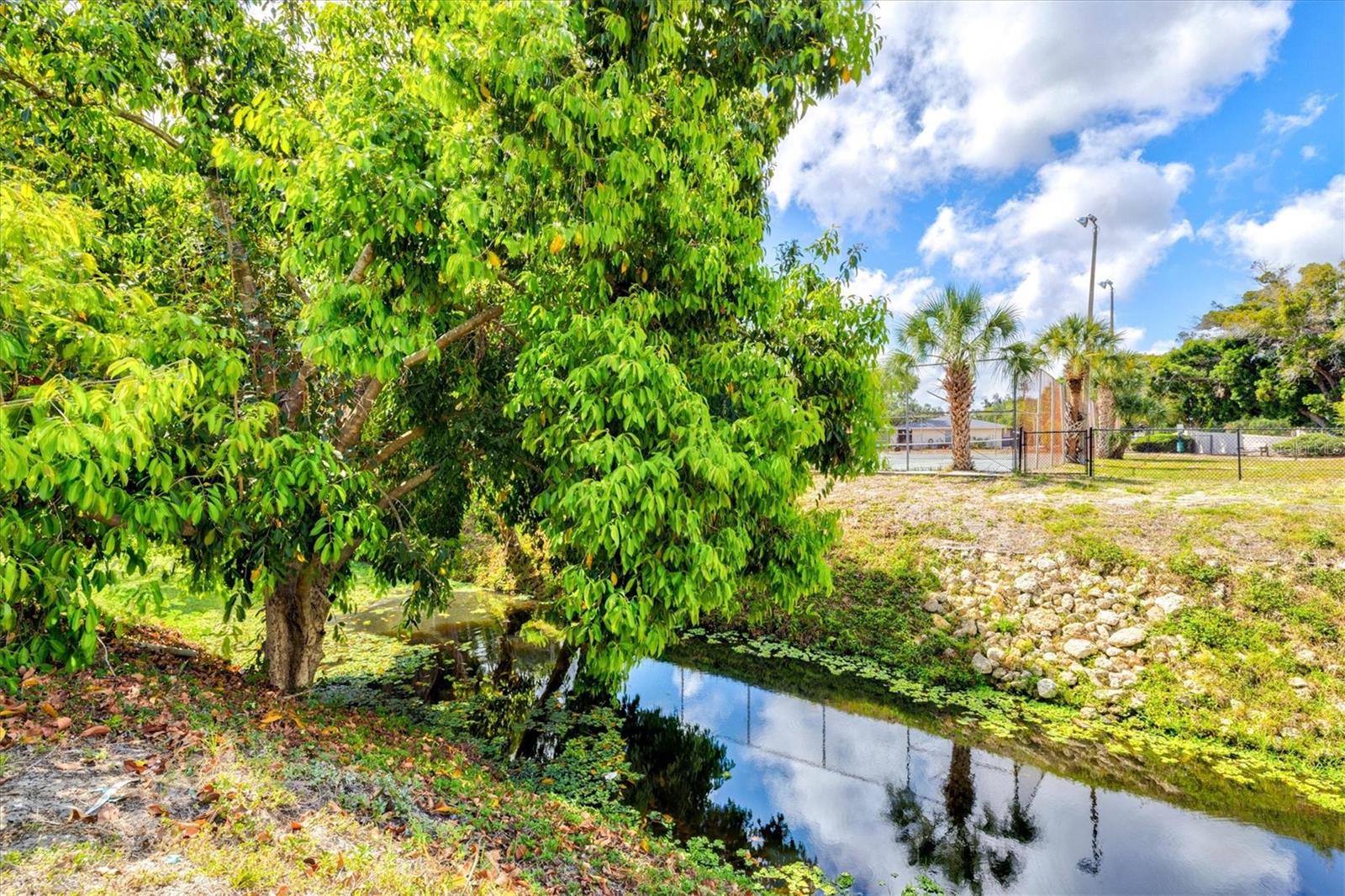 3202 RAMBLEWOOD DR N, SARASOTA, FL, 34237