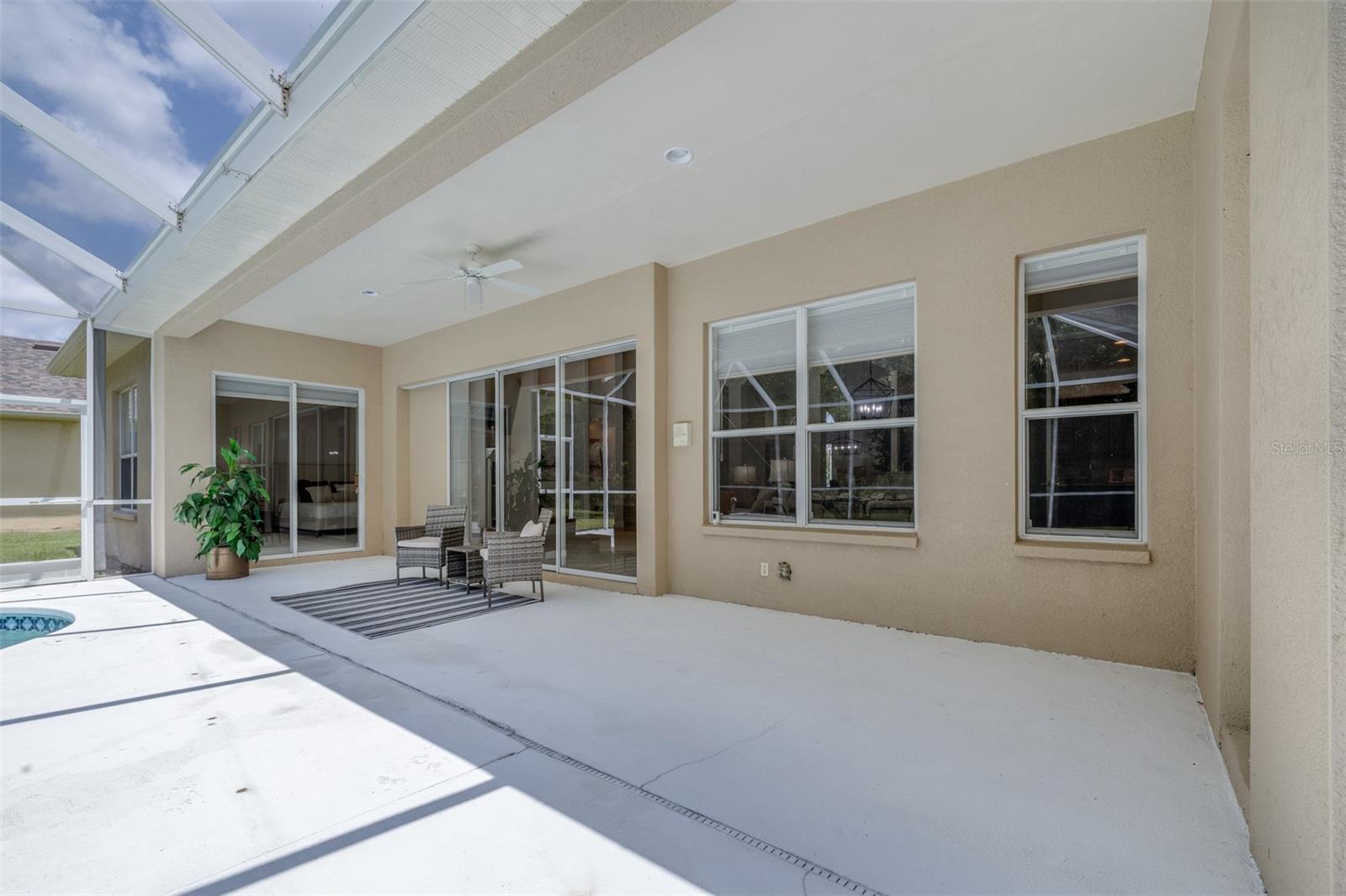 26754 WINGED ELM DR, WESLEY CHAPEL, FL, 33544