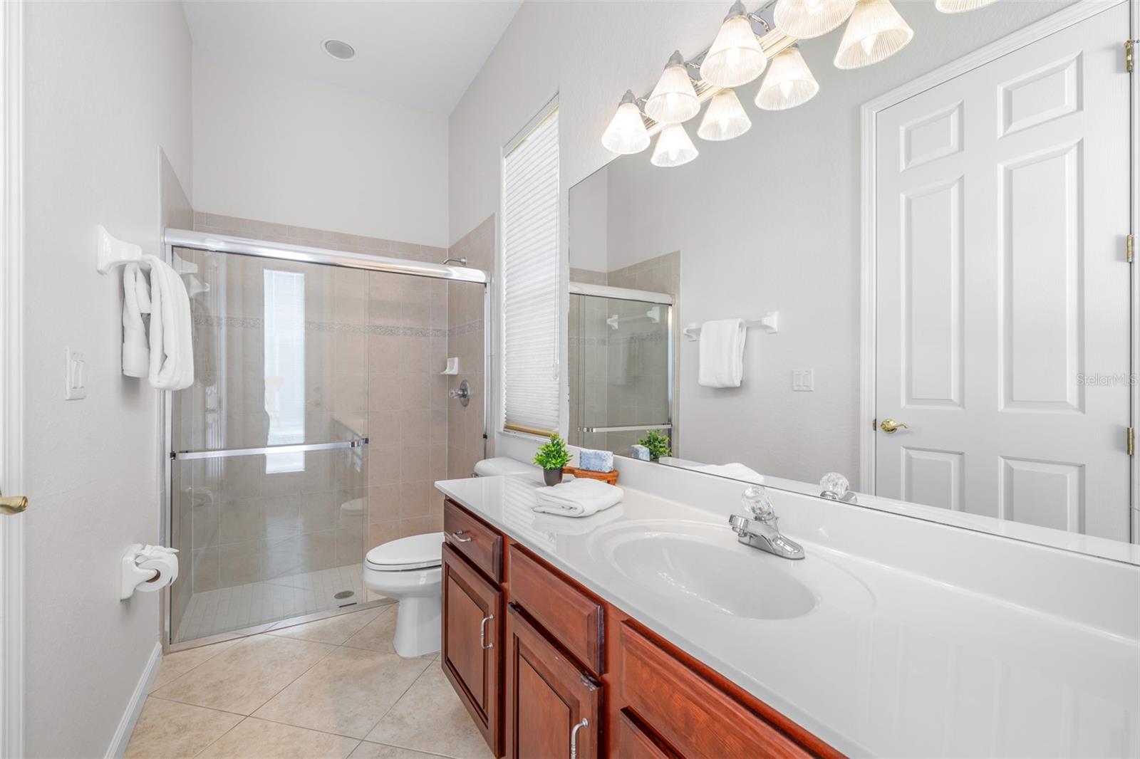 26754 WINGED ELM DR, WESLEY CHAPEL, FL, 33544