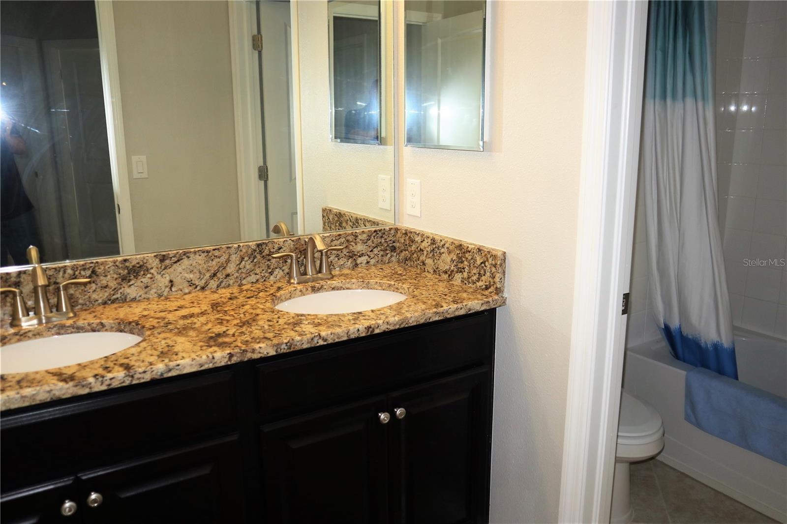 12311 BALLENTRAE FOREST DR, RIVERVIEW, FL, 33579