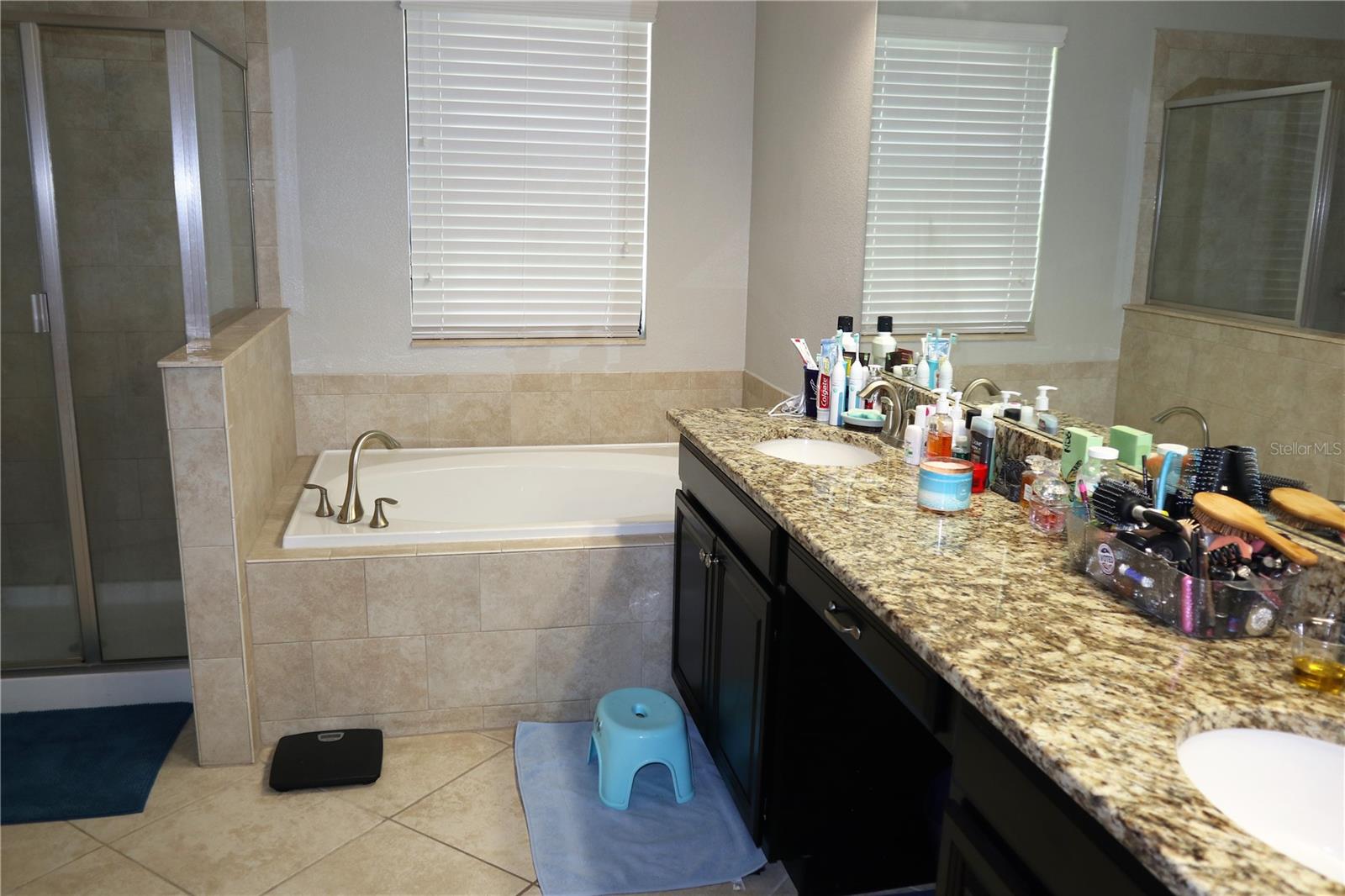 12311 BALLENTRAE FOREST DR, RIVERVIEW, FL, 33579