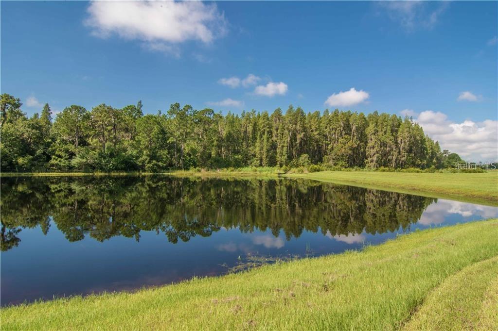 12311 BALLENTRAE FOREST DR, RIVERVIEW, FL, 33579