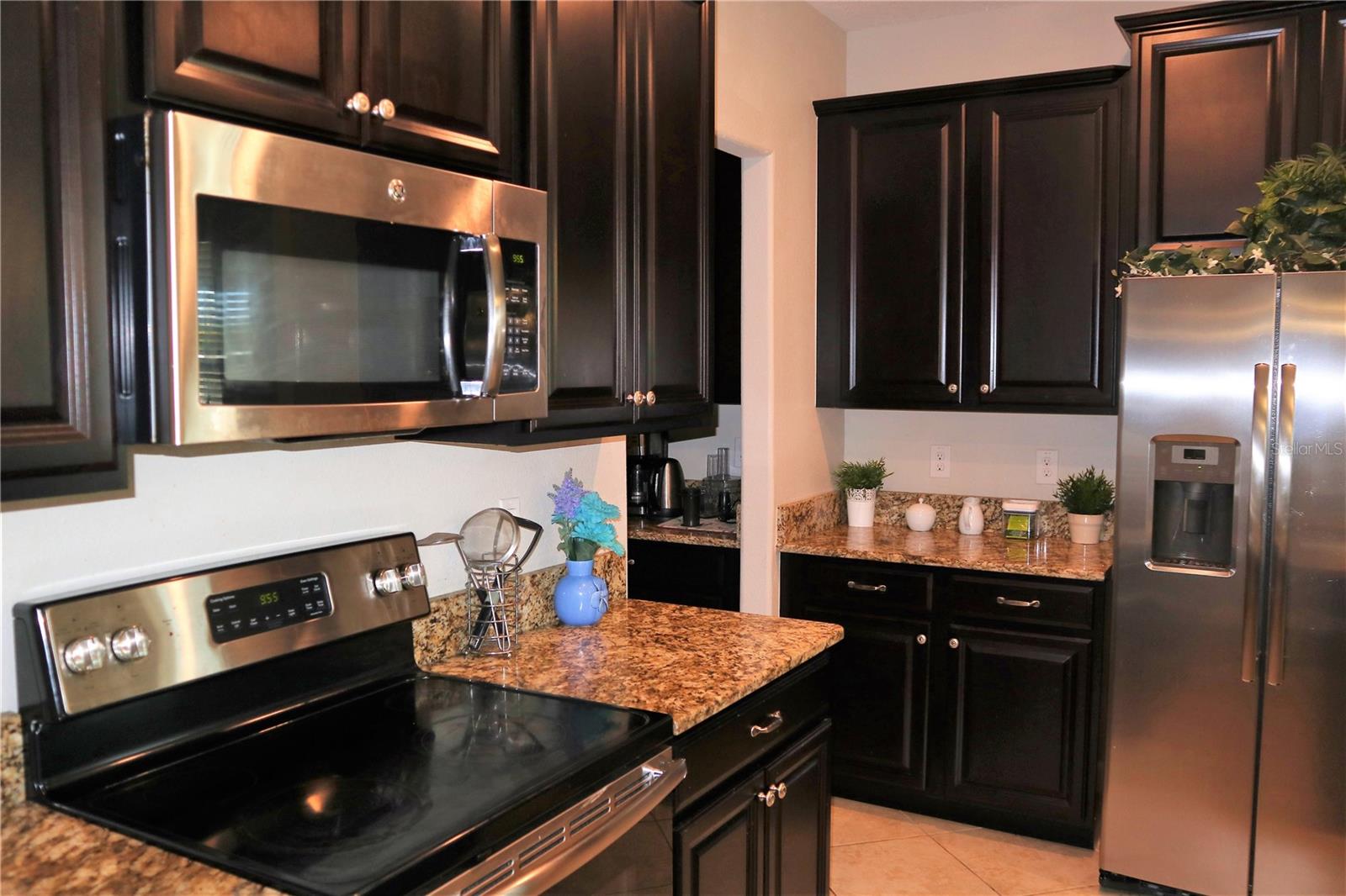 12311 BALLENTRAE FOREST DR, RIVERVIEW, FL, 33579