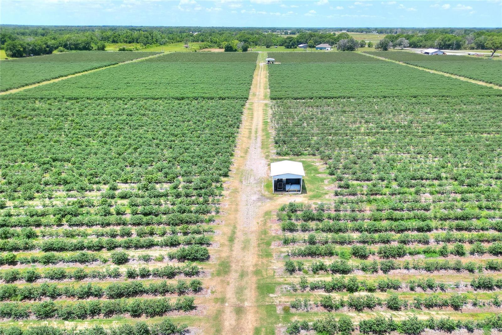 3674 E STATE ROAD 64, ZOLFO SPRINGS, FL, 33890