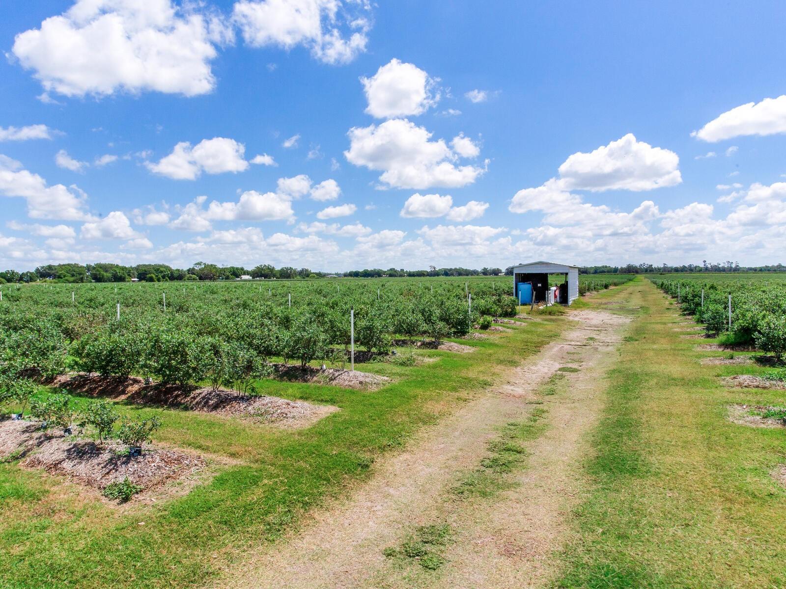 3674 E STATE ROAD 64, ZOLFO SPRINGS, FL, 33890