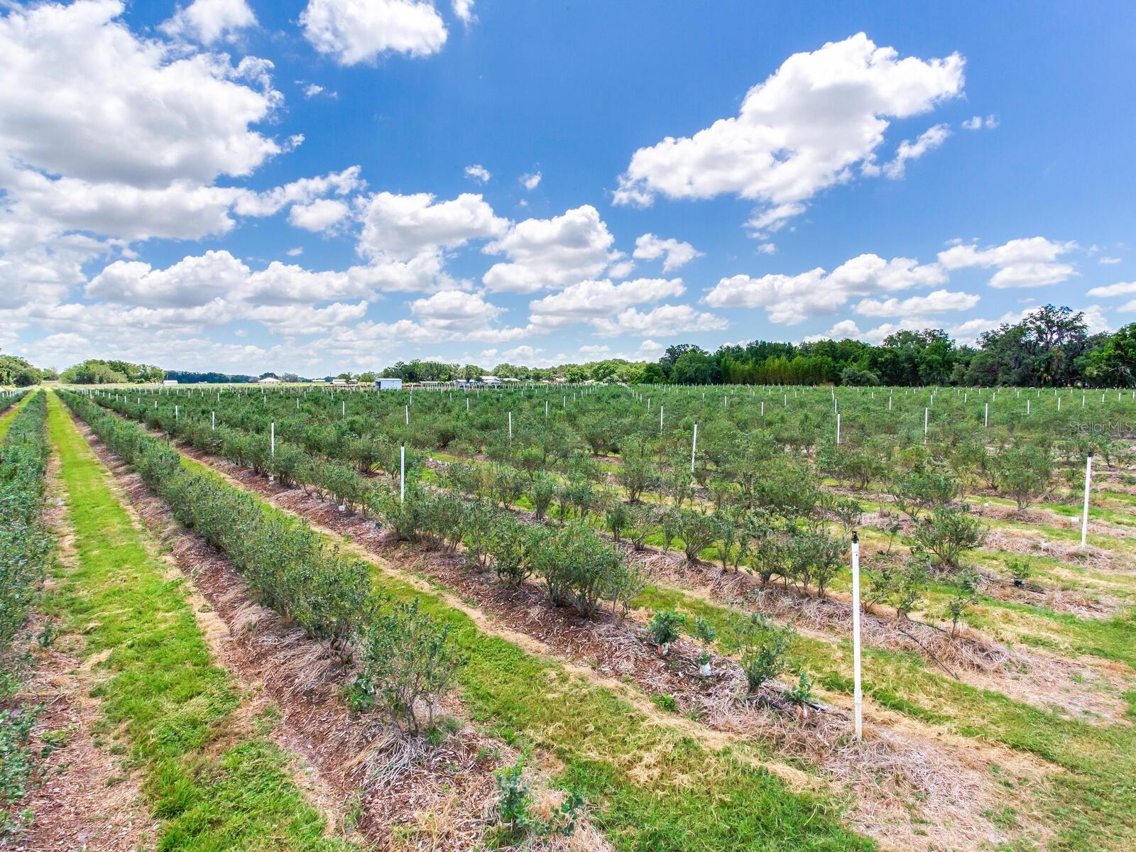 3674 E STATE ROAD 64, ZOLFO SPRINGS, FL, 33890