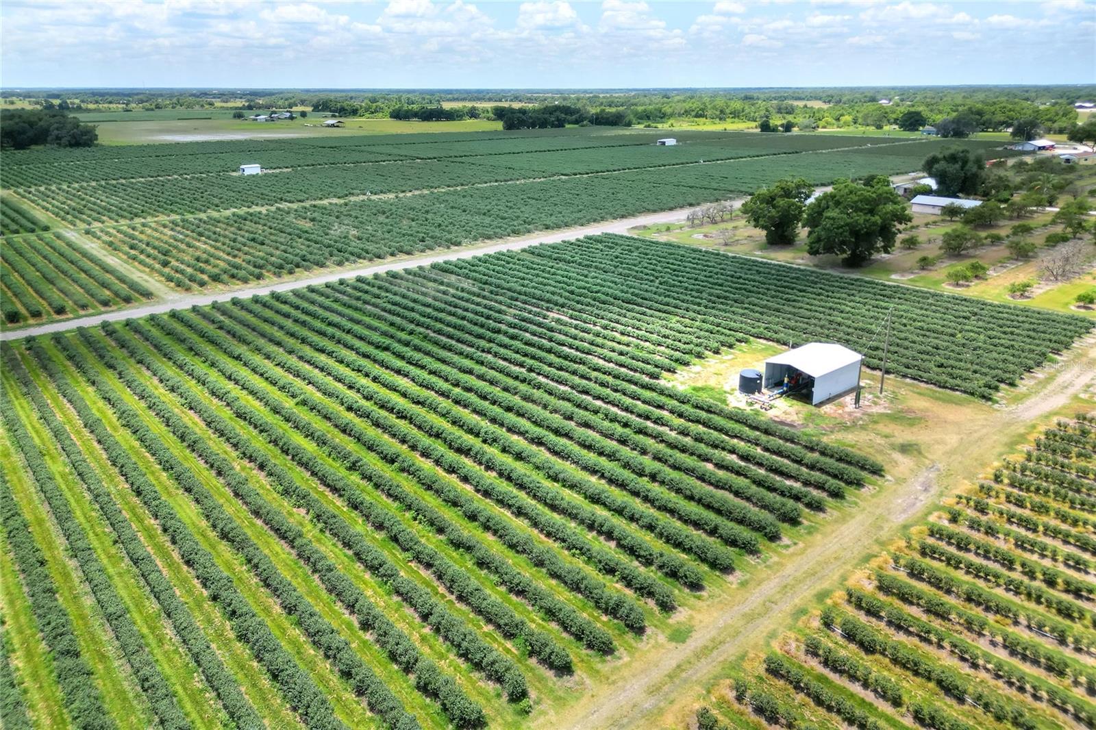 3674 E STATE ROAD 64, ZOLFO SPRINGS, FL, 33890