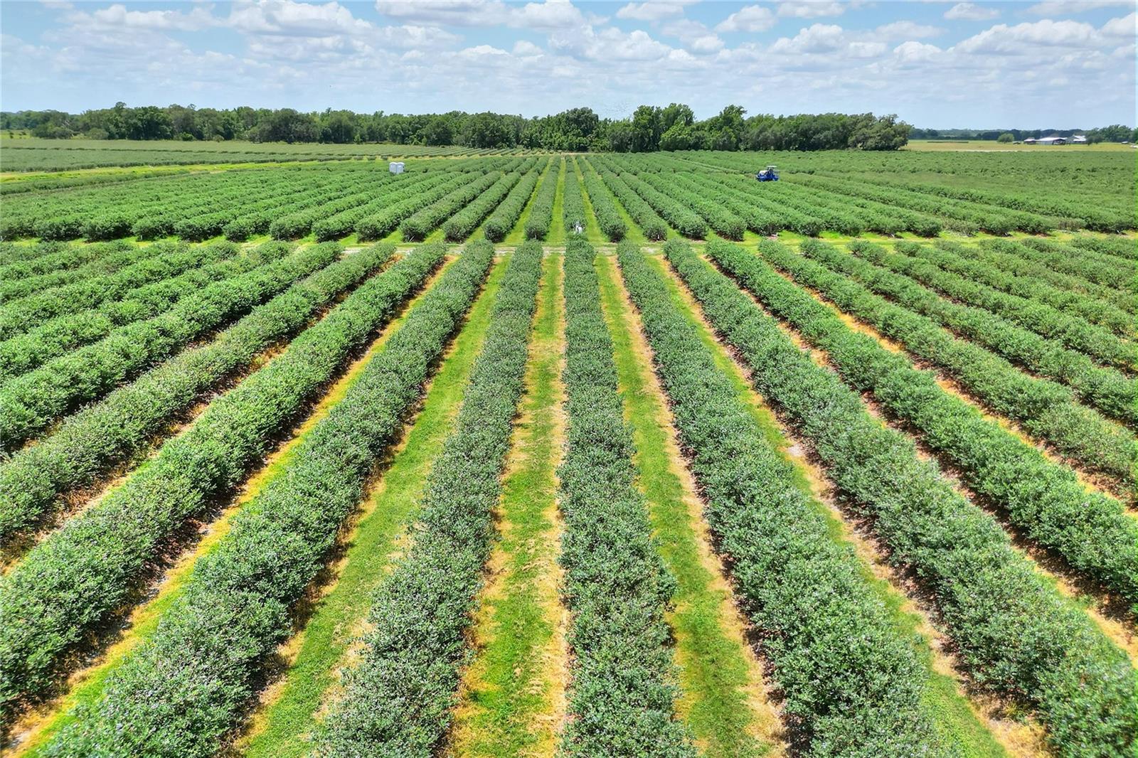 3674 E STATE ROAD 64, ZOLFO SPRINGS, FL, 33890