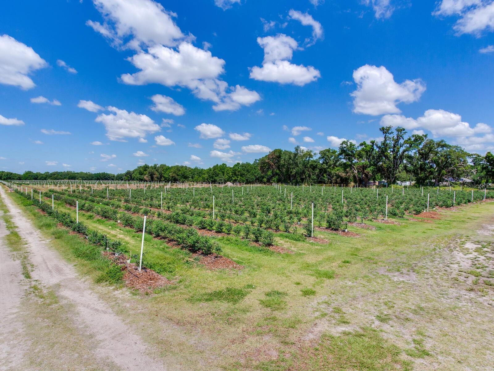 3674 E STATE ROAD 64, ZOLFO SPRINGS, FL, 33890