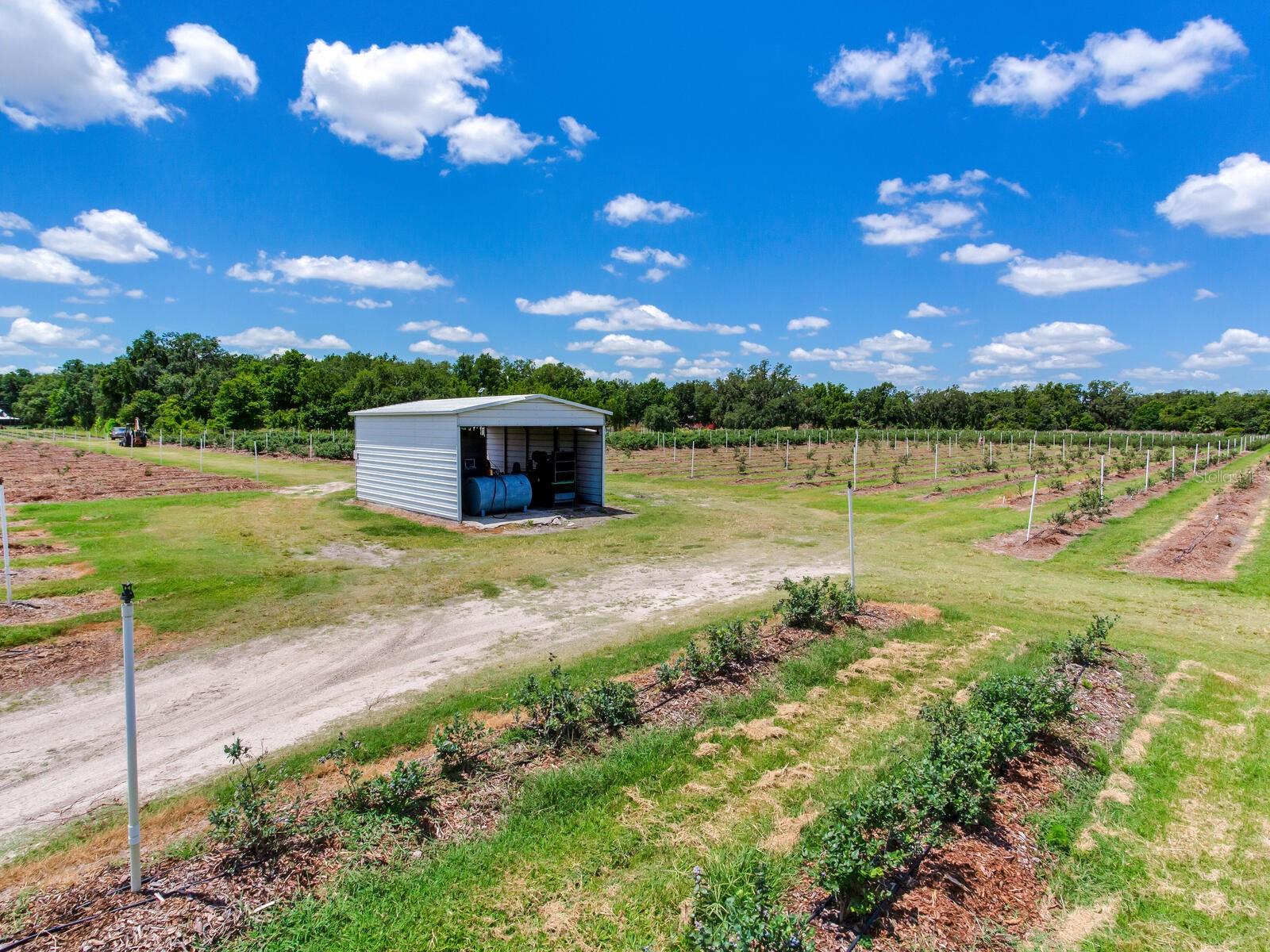 3674 E STATE ROAD 64, ZOLFO SPRINGS, FL, 33890