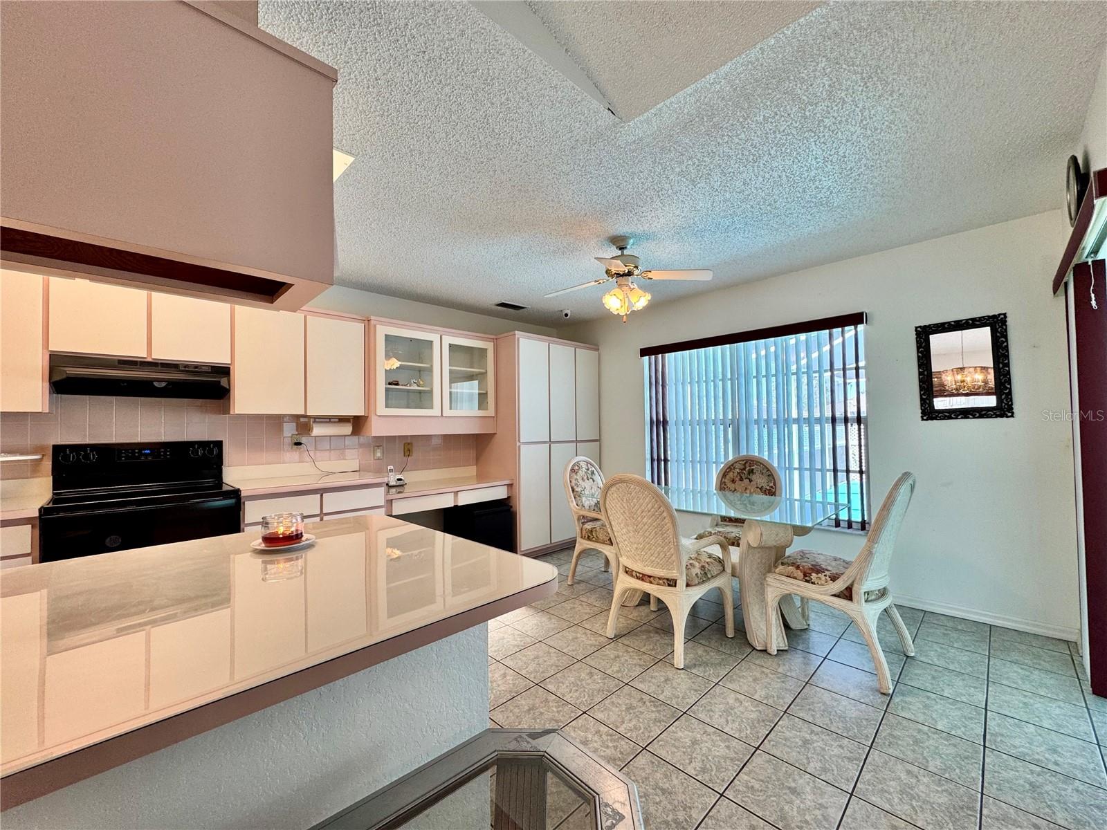 13417 ALGOMA AVE, SPRING HILL, FL, 34609