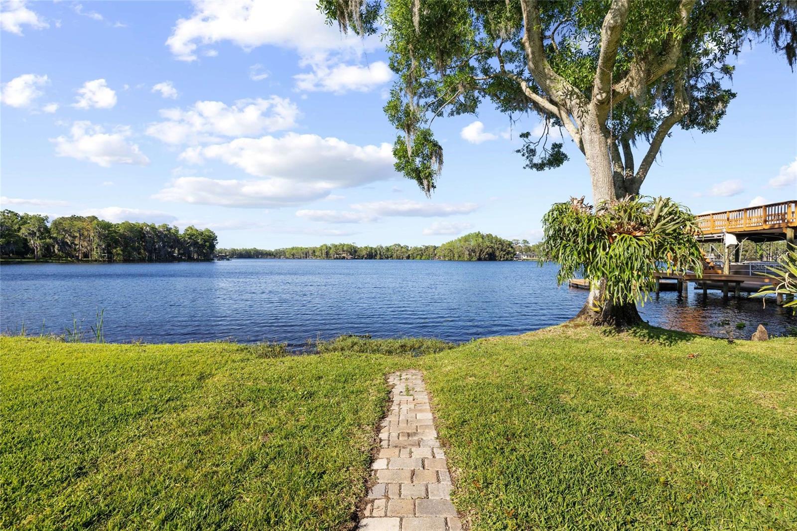 9901 MENANDER WOOD CT, ODESSA, FL, 33556