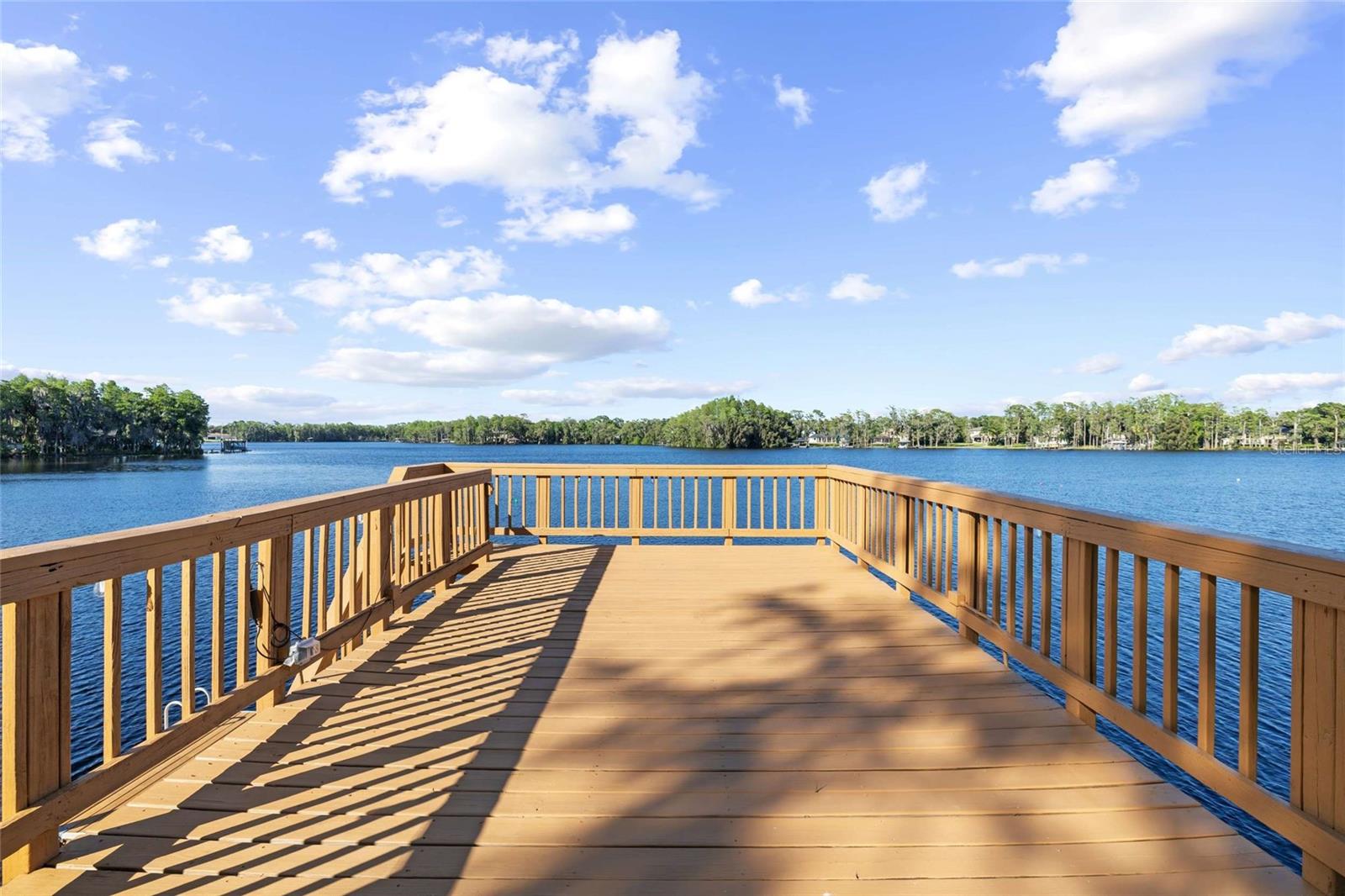 9901 MENANDER WOOD CT, ODESSA, FL, 33556