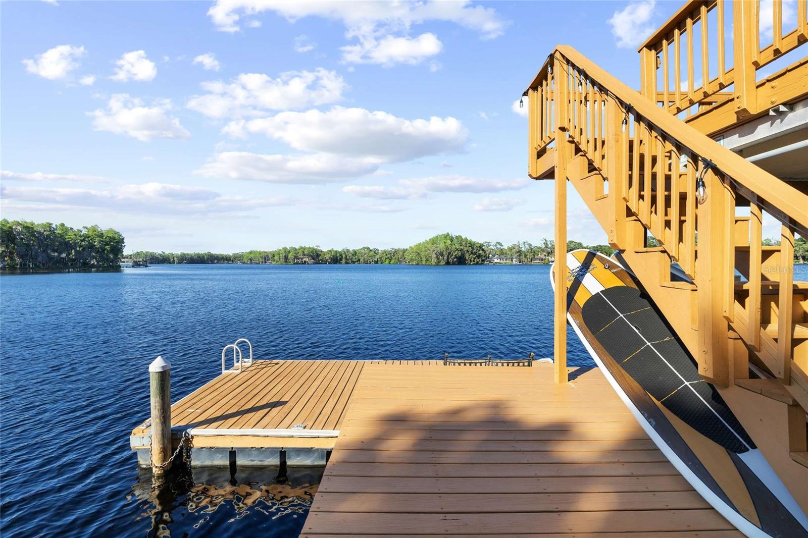 9901 MENANDER WOOD CT, ODESSA, FL, 33556