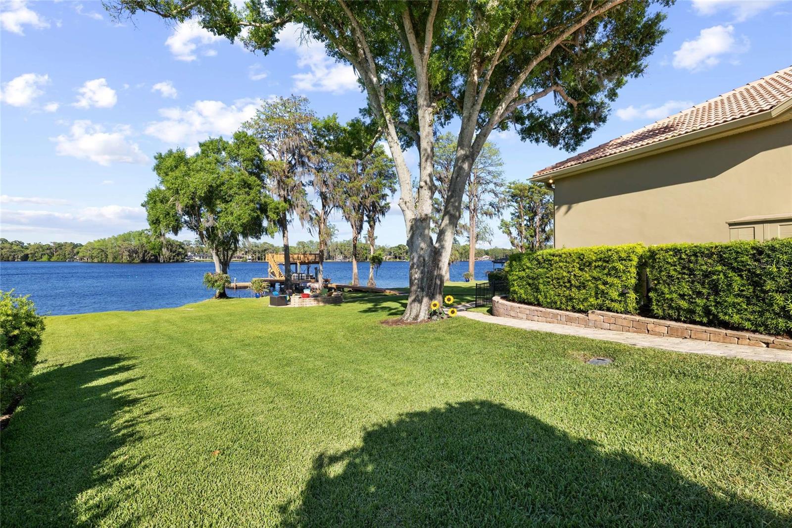 9901 MENANDER WOOD CT, ODESSA, FL, 33556