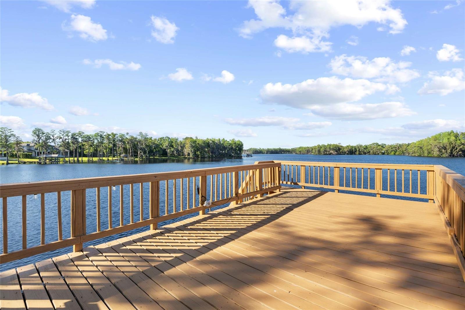 9901 MENANDER WOOD CT, ODESSA, FL, 33556