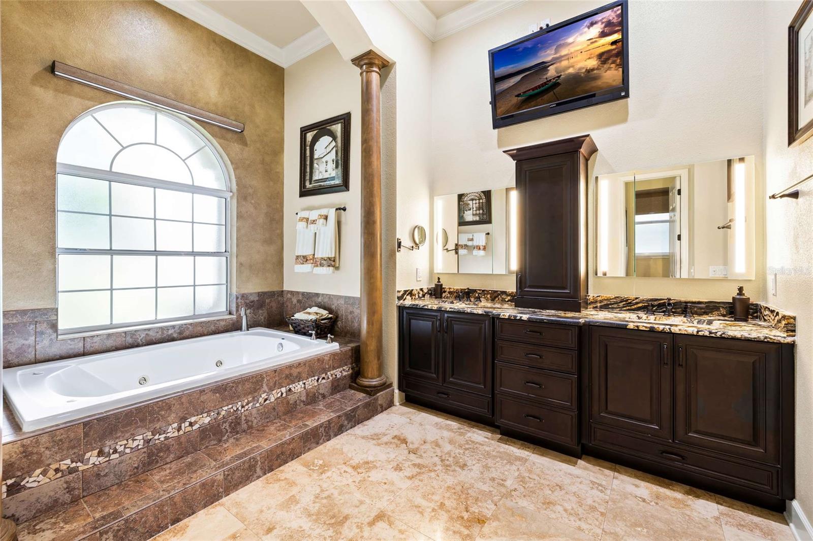 9901 MENANDER WOOD CT, ODESSA, FL, 33556