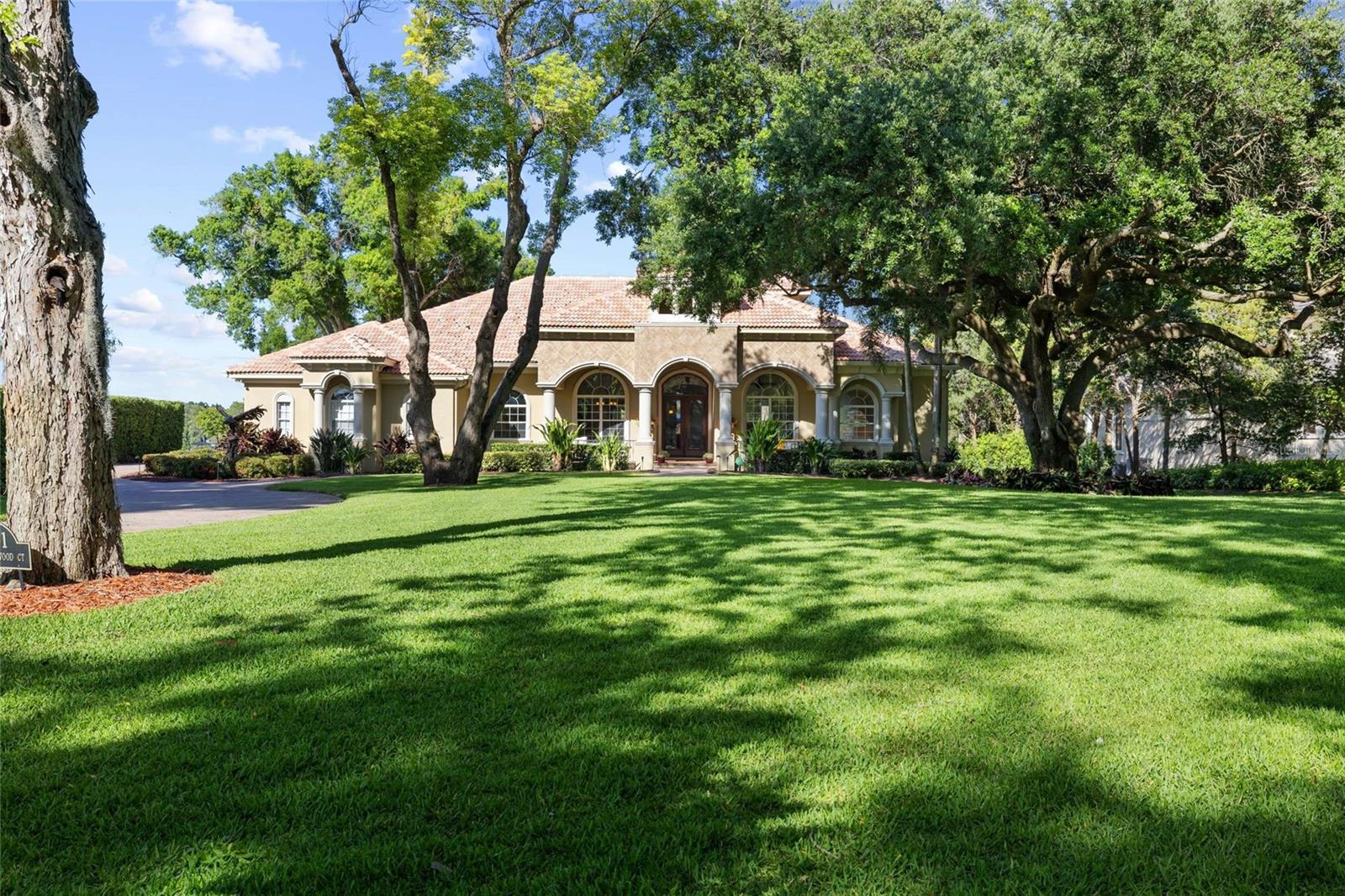 9901 MENANDER WOOD CT, ODESSA, FL, 33556