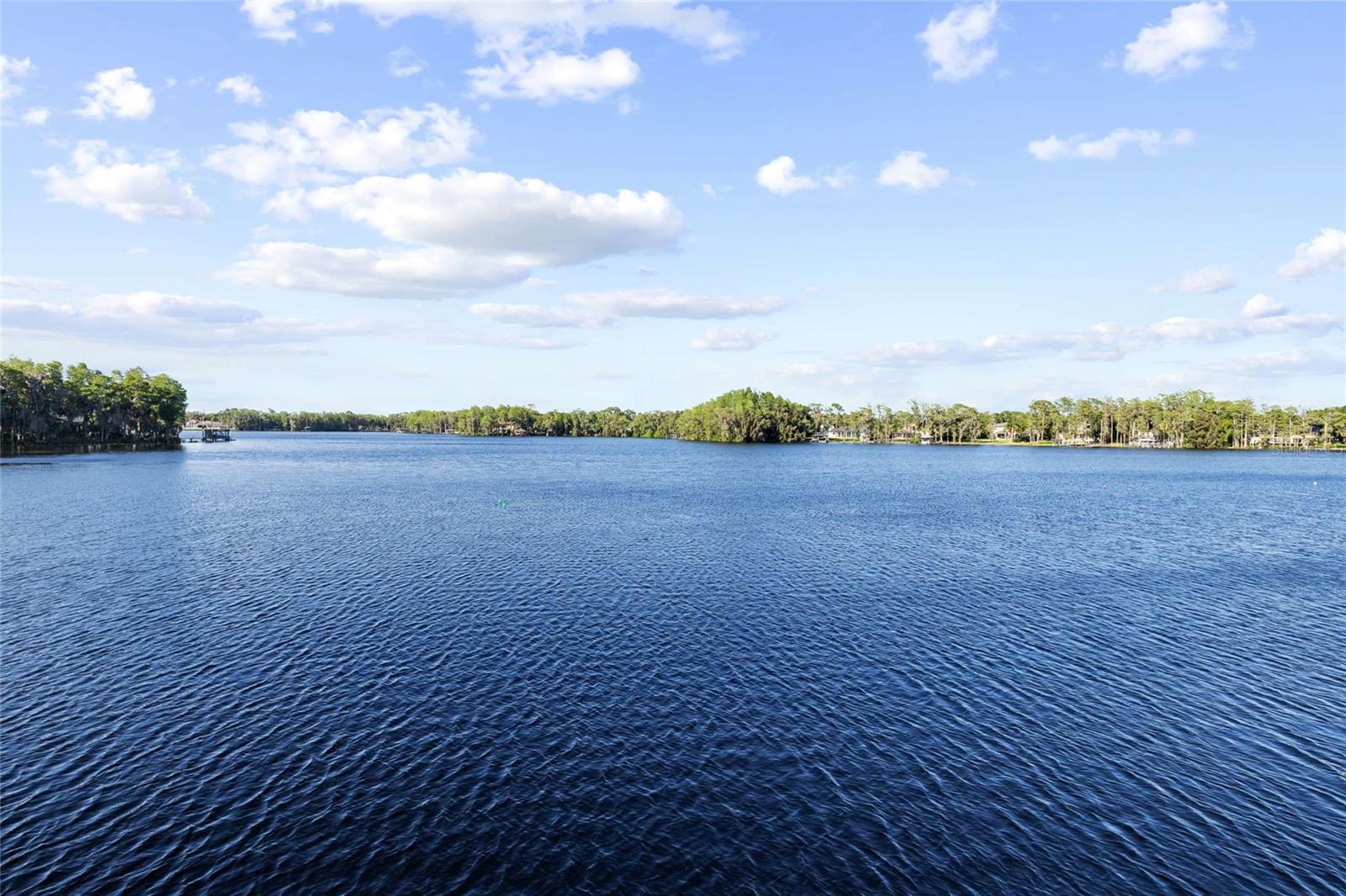 9901 MENANDER WOOD CT, ODESSA, FL, 33556