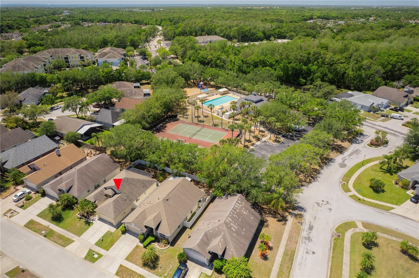 8426 POYDRAS LN, TAMPA, FL, 33635