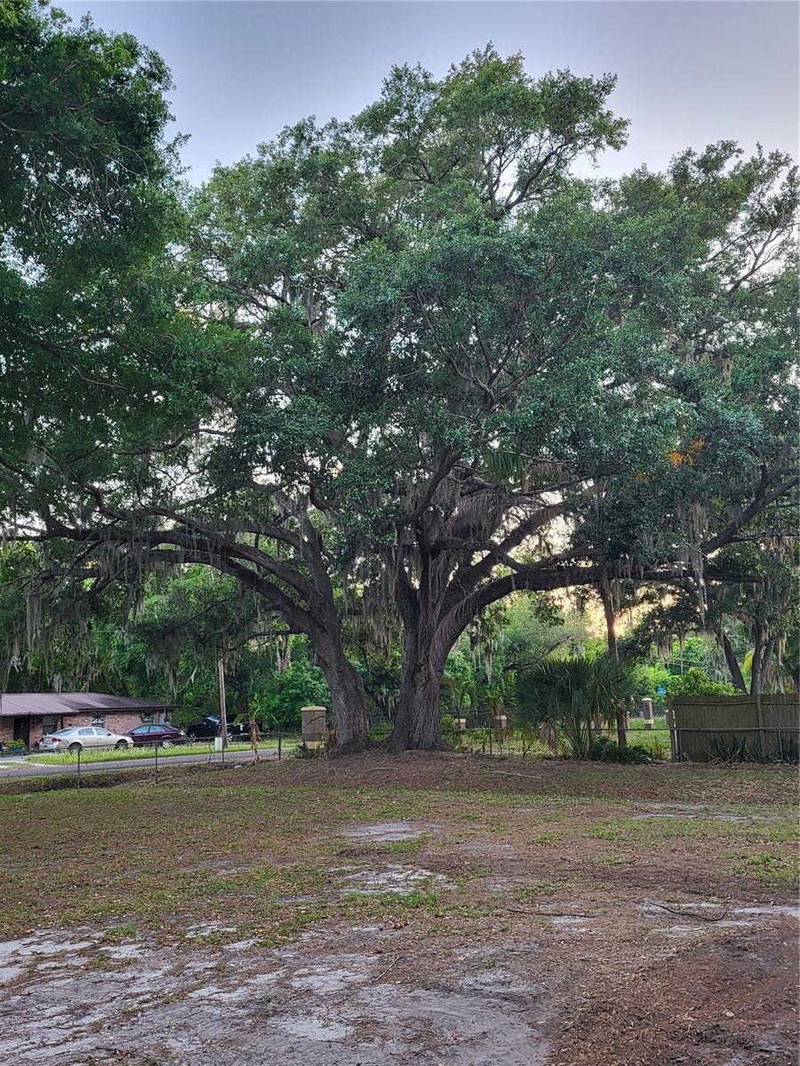 4454 EDWARDS RD, PLANT CITY, FL, 33567