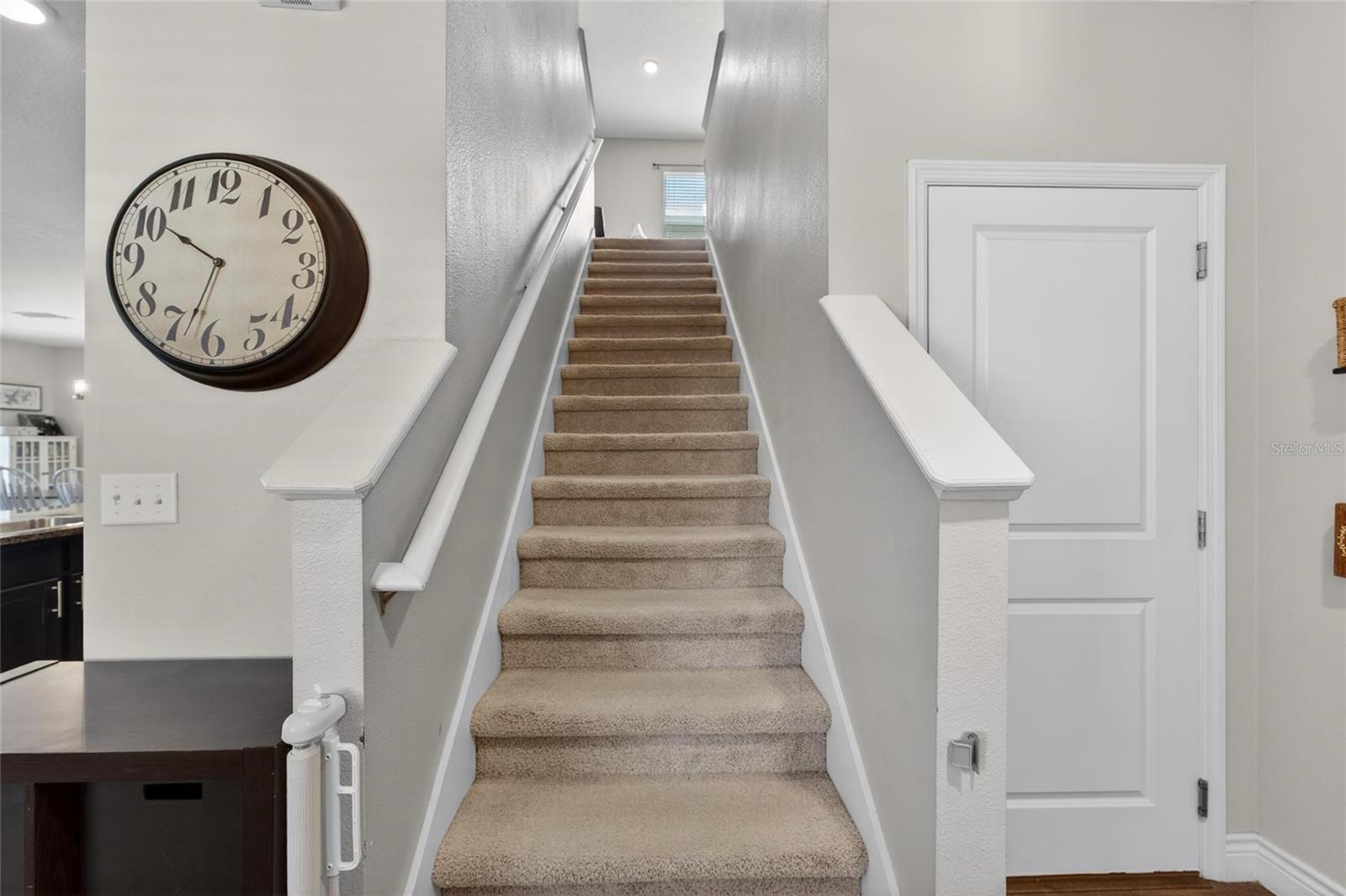 11176 LELAND GROVES DR, RIVERVIEW, FL, 33579